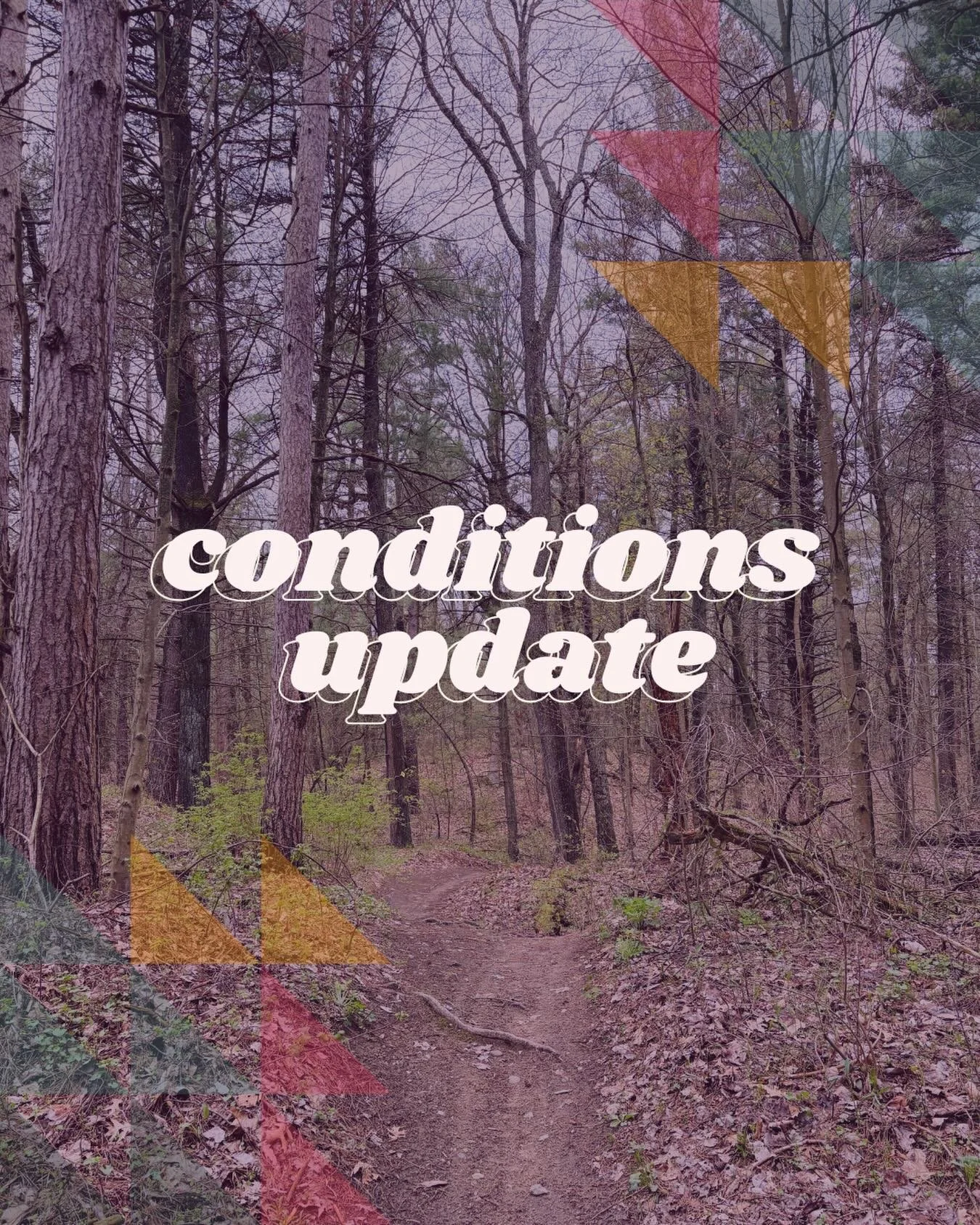 Conditions update 📣 for the Long Point Trail Club

Trail conditions are top notch in Turkey Point right now. There&rsquo;s no rain in the forecast and we can expect temperatures around 6-7C to start. These trails are fun, punchy, and absolutely stun