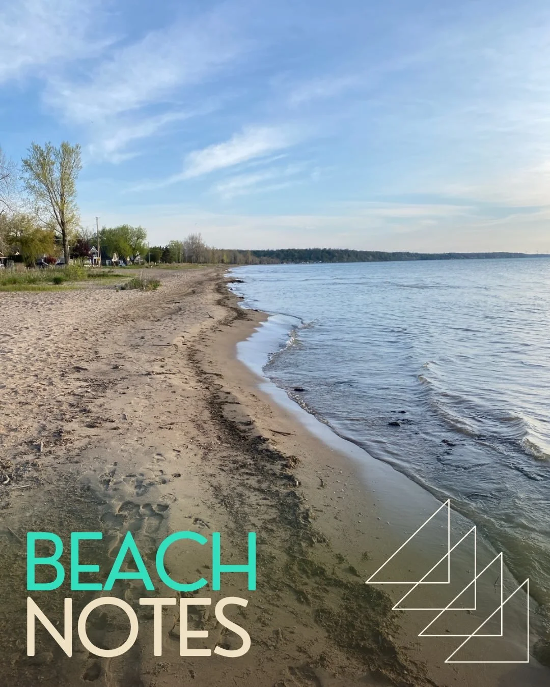 Conditions update 📣

Conditions along Turkey Point beach are clear and dry. Sand is solid and primed for running. Lots of wildlife have returned to the beach; those walking the route are encouraged to bring their binoculars 🦅. Old Hill is a fun cha