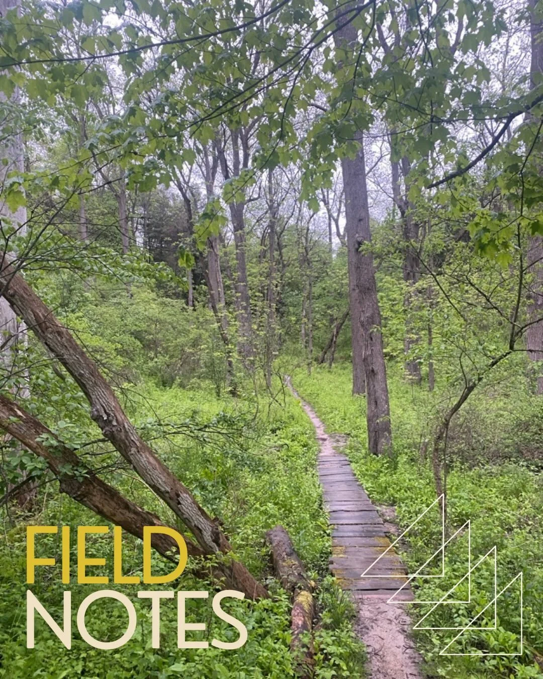 Trail Routes and Conditions Update 📣 🌧️

With up to 50mm of rain in the forecast, we decided to change the routes to avoid the ravine trails that get exceptionally muddy during intense rain events. New routes are posted on RunLocale.com. Luckily, t