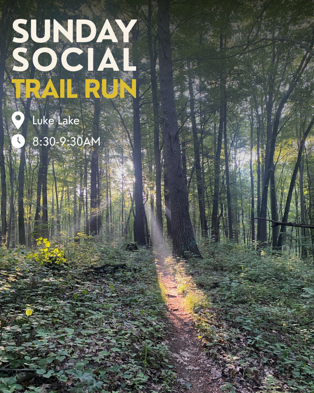 Luke Lake Trail Run
