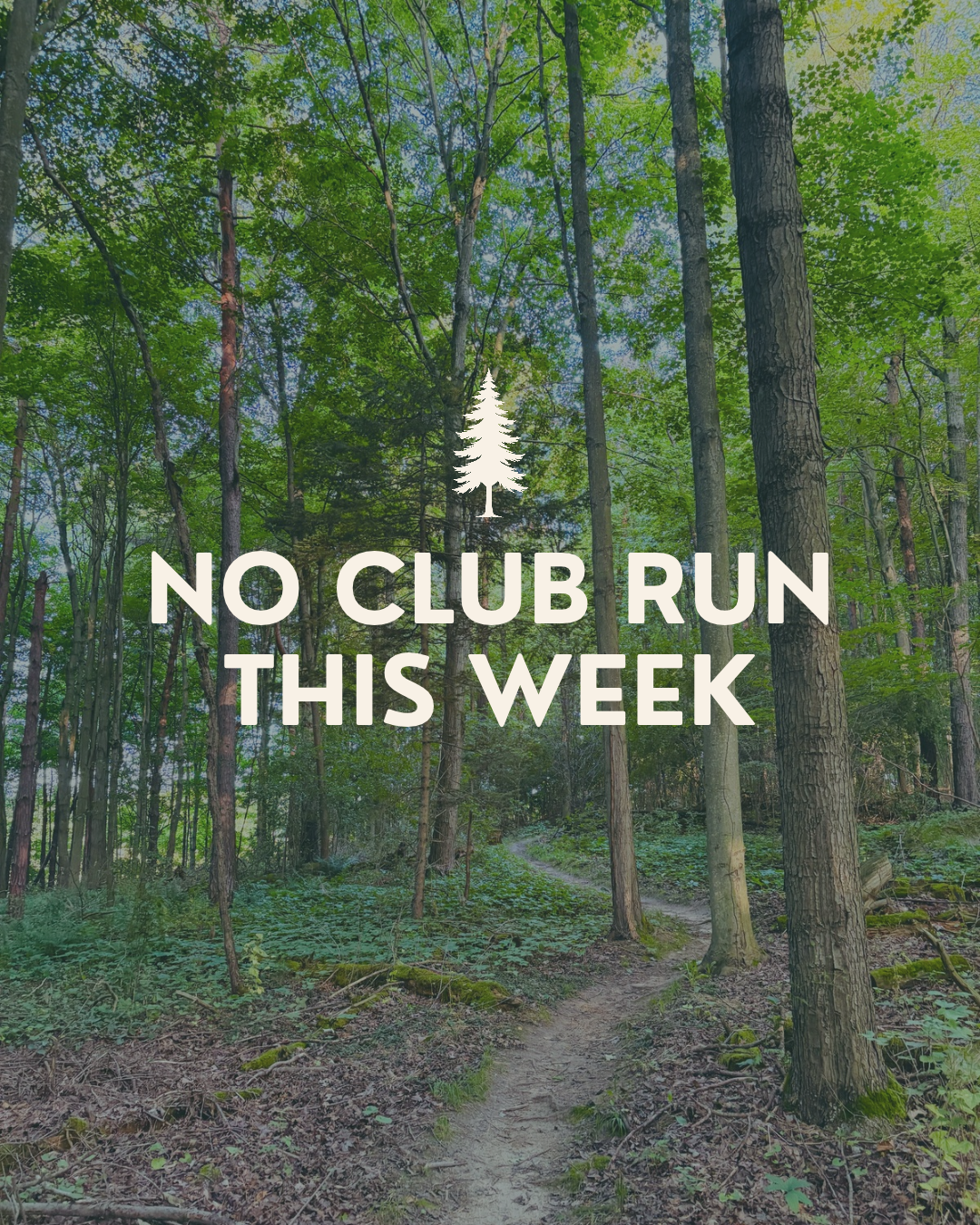 Self-guided Trail Run