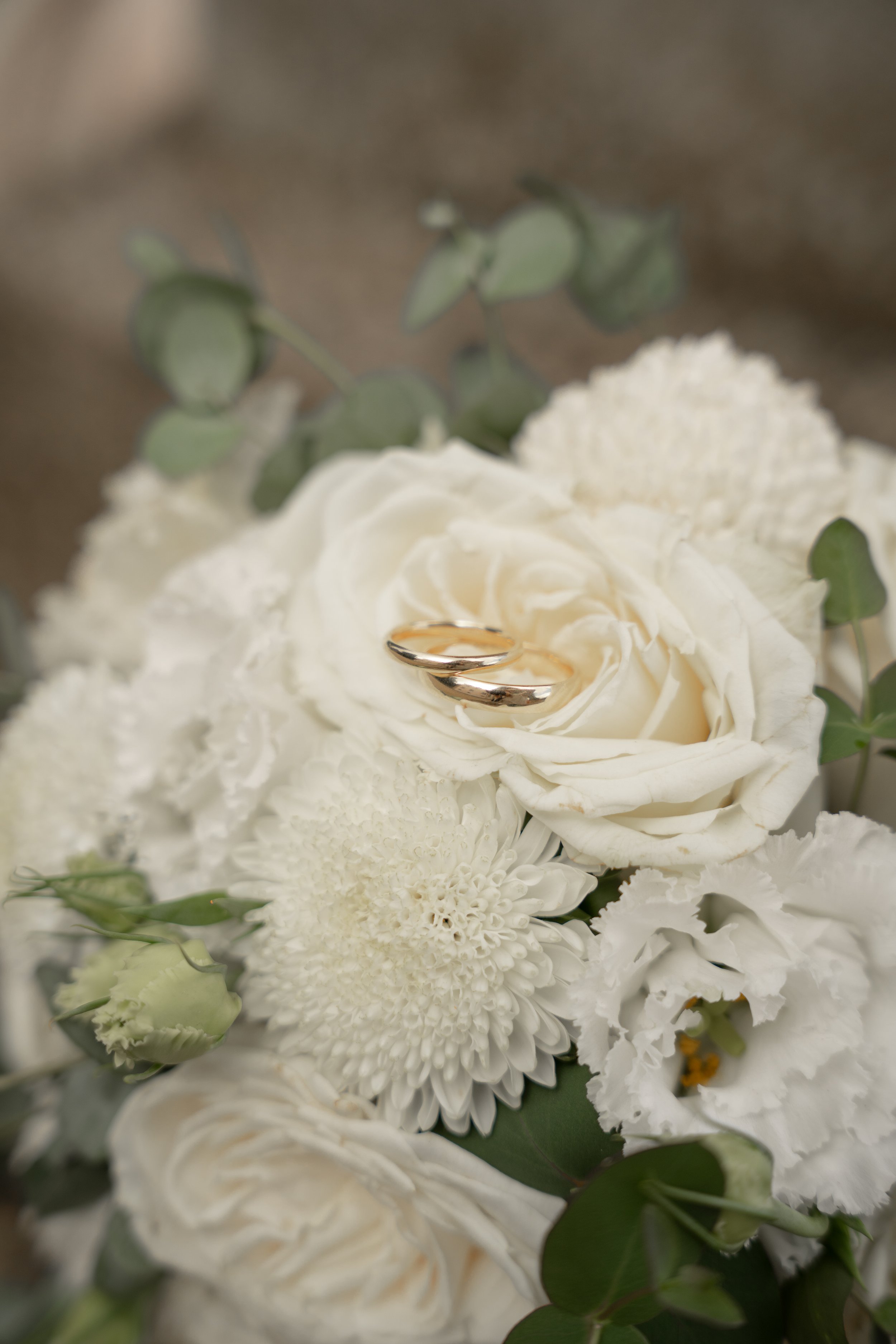 Zwei goldene Eheringe auf einer weißen Rosenblüte, umgeben von weißen Blumen und grünen Blättern