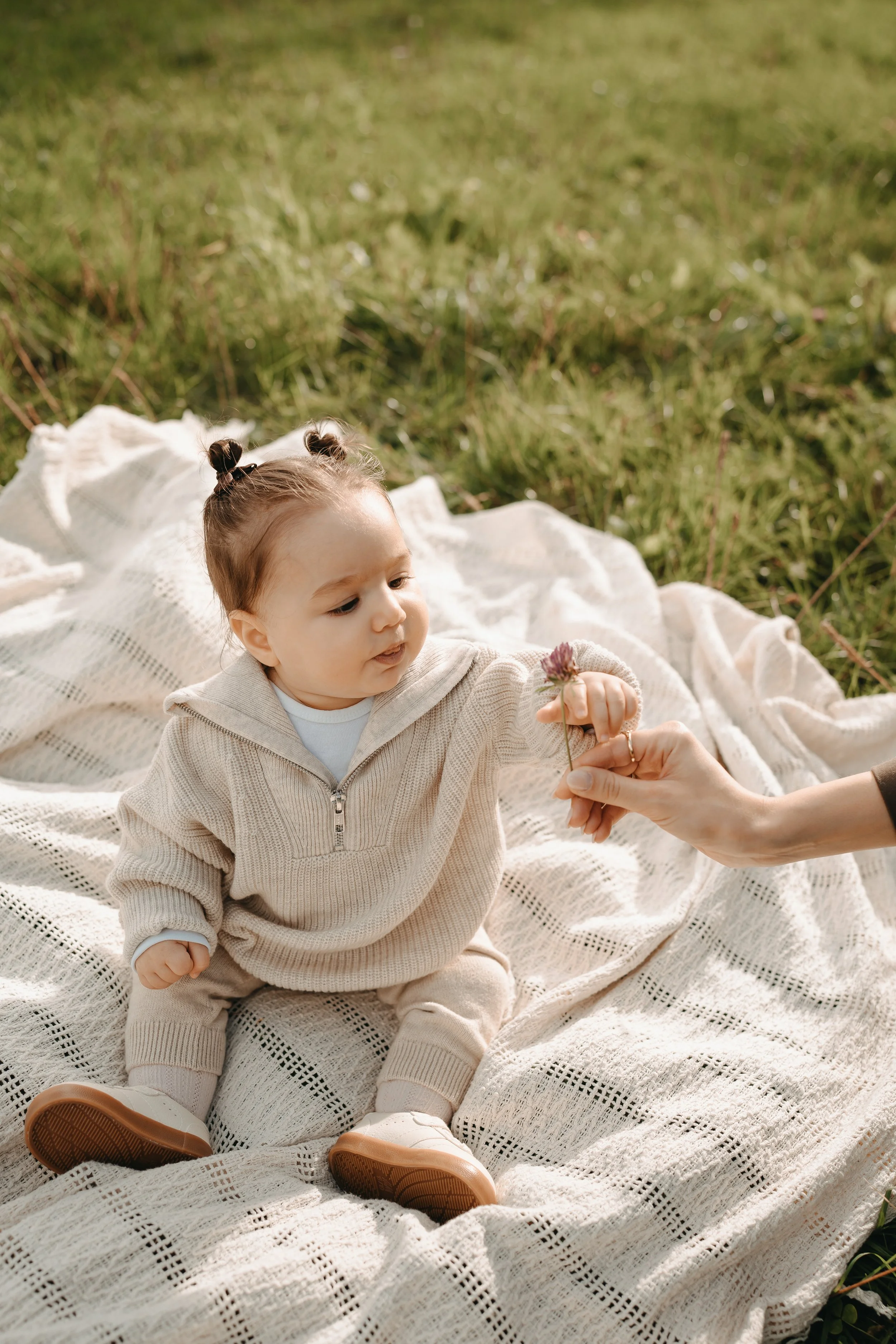 Ein kleines Kind sitzt auf einer Decke im Grünen und bekommt eine Blume von einer erwachsenen Hand gereicht.