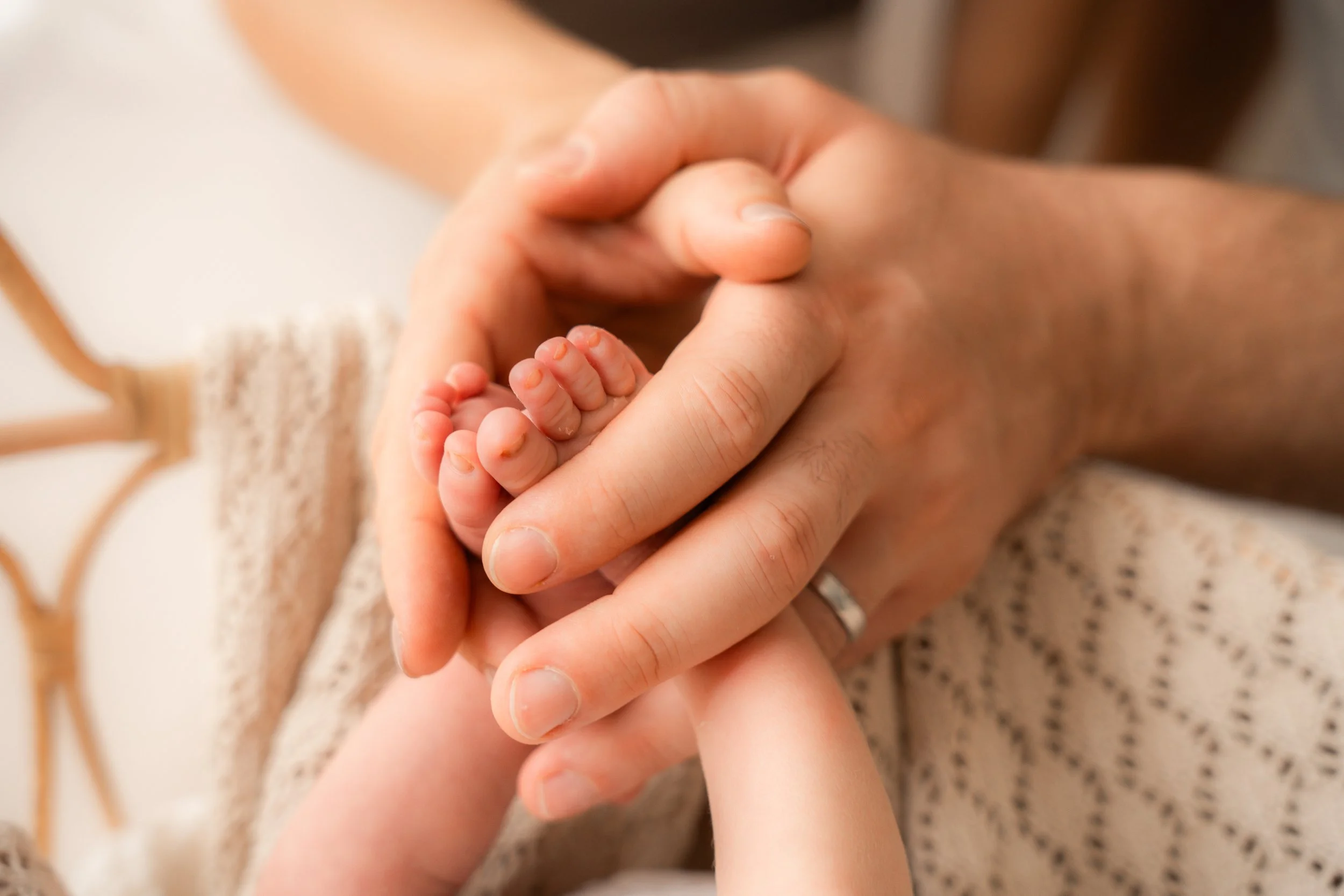 Ein Erwachsener hält eine kleine Babyhand in der eigenen Hand.