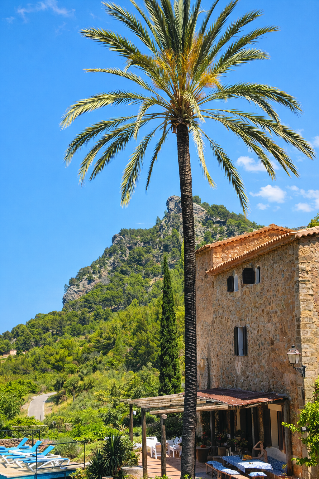 A tall palm tree in front of a stone house with a tiled roof, set against a lush green mountain and a clear blue sky.