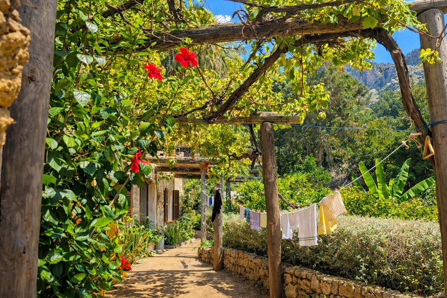 A sunny outdoor path with flowers, greenery, and a clothesline with hanging clothes, surrounded by wooden posts and lush trees.
