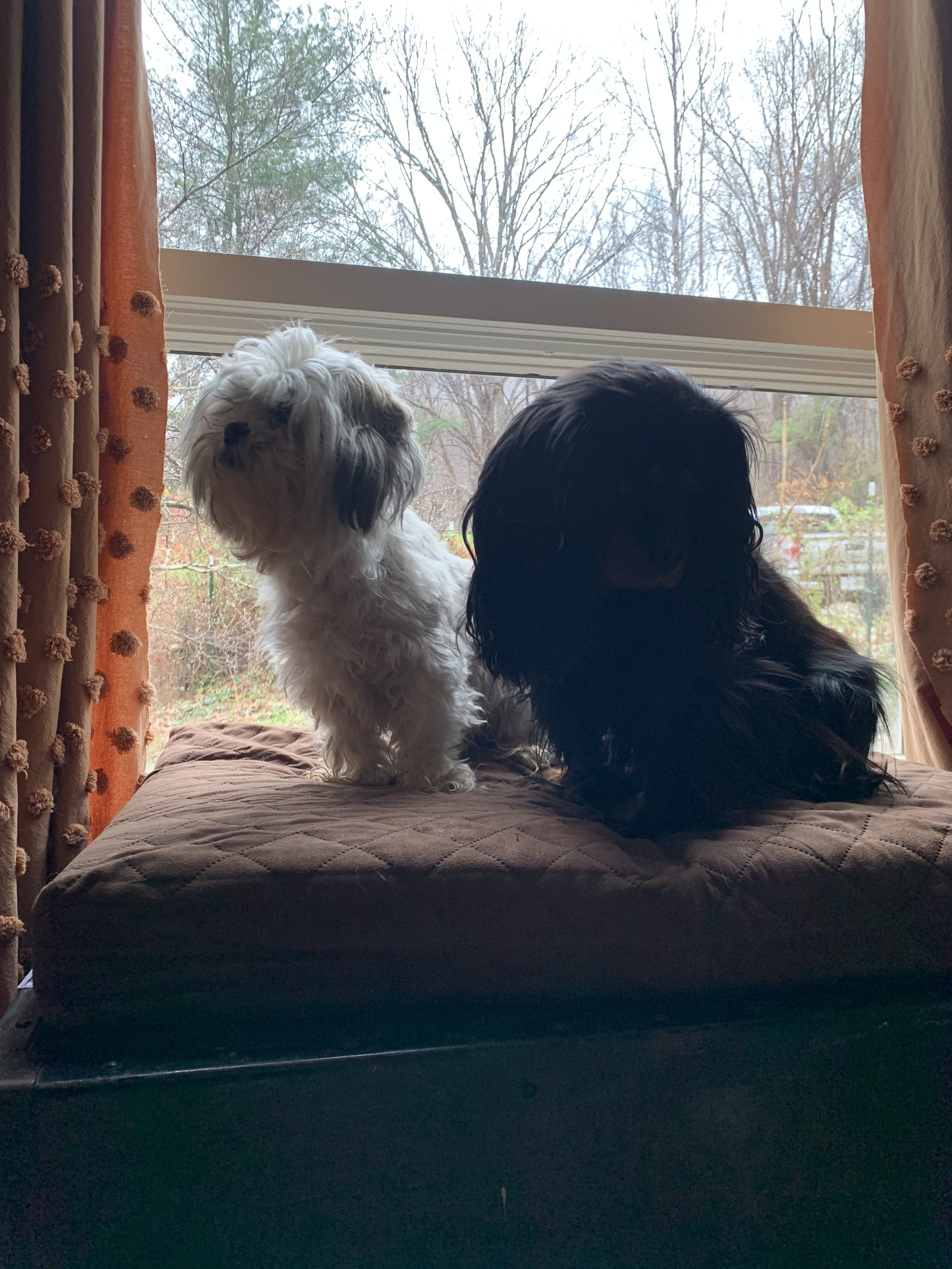 IMG_2005.jpeg