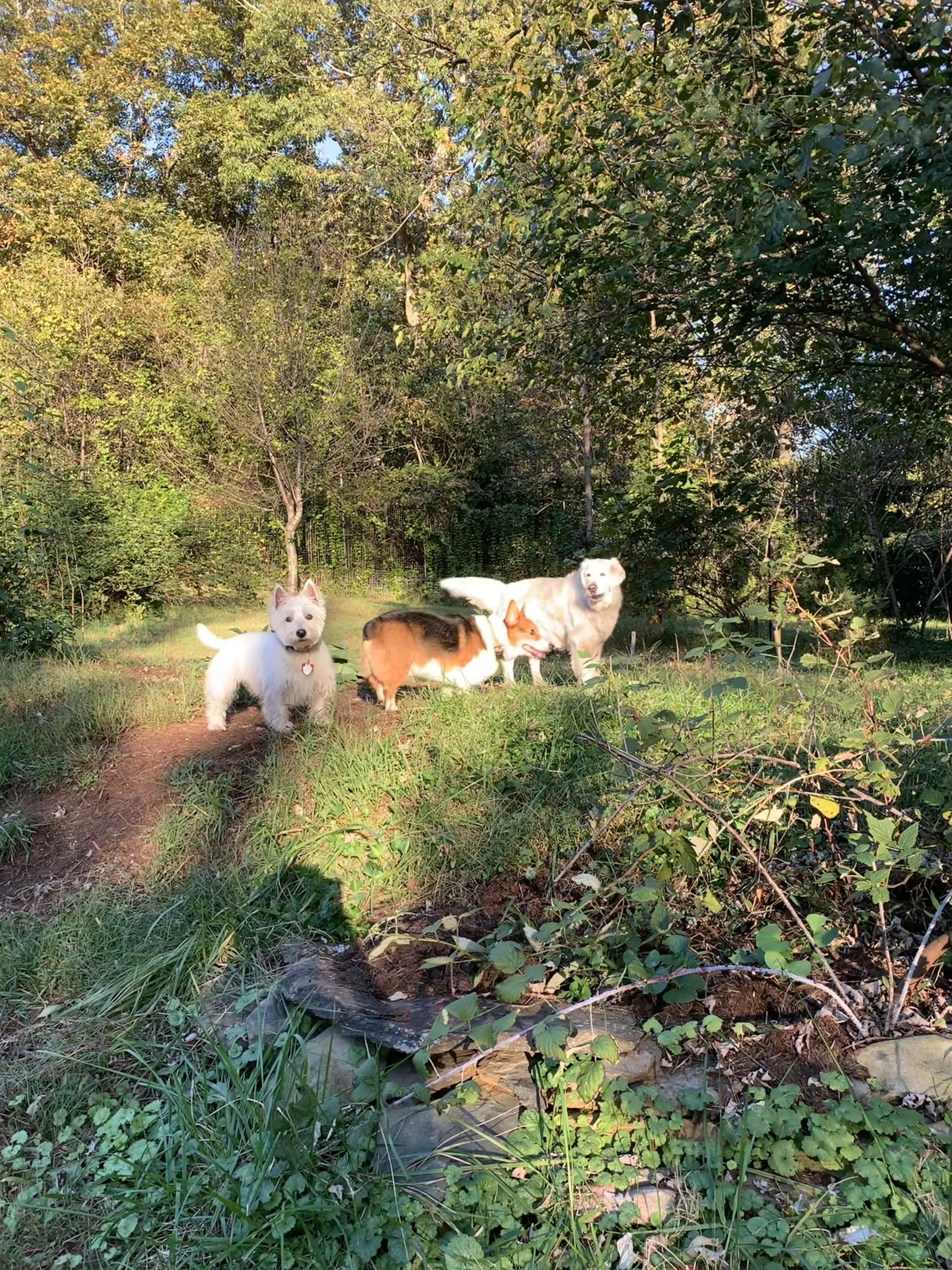 IMG_5061.jpeg