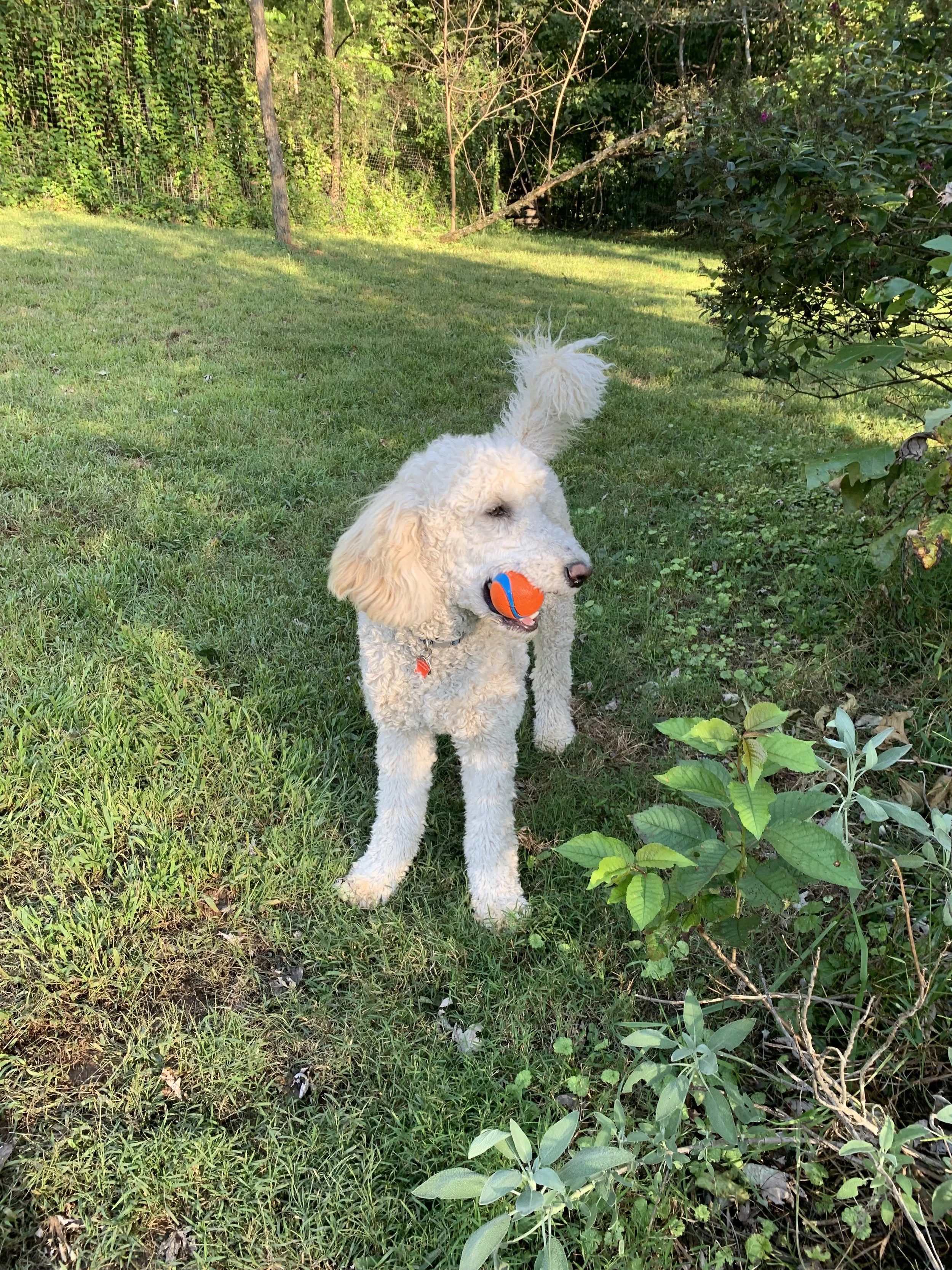 IMG_4857.jpeg