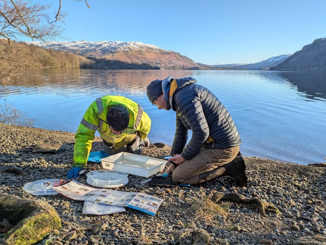Sampling tray containing freshwater invertebrates beside a Lakefly identification guide.