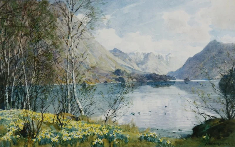 Alfred Heaton Cooper’s Wild Daffodils Ullswater connects the native daffodils with Ullswater’s artistic story.