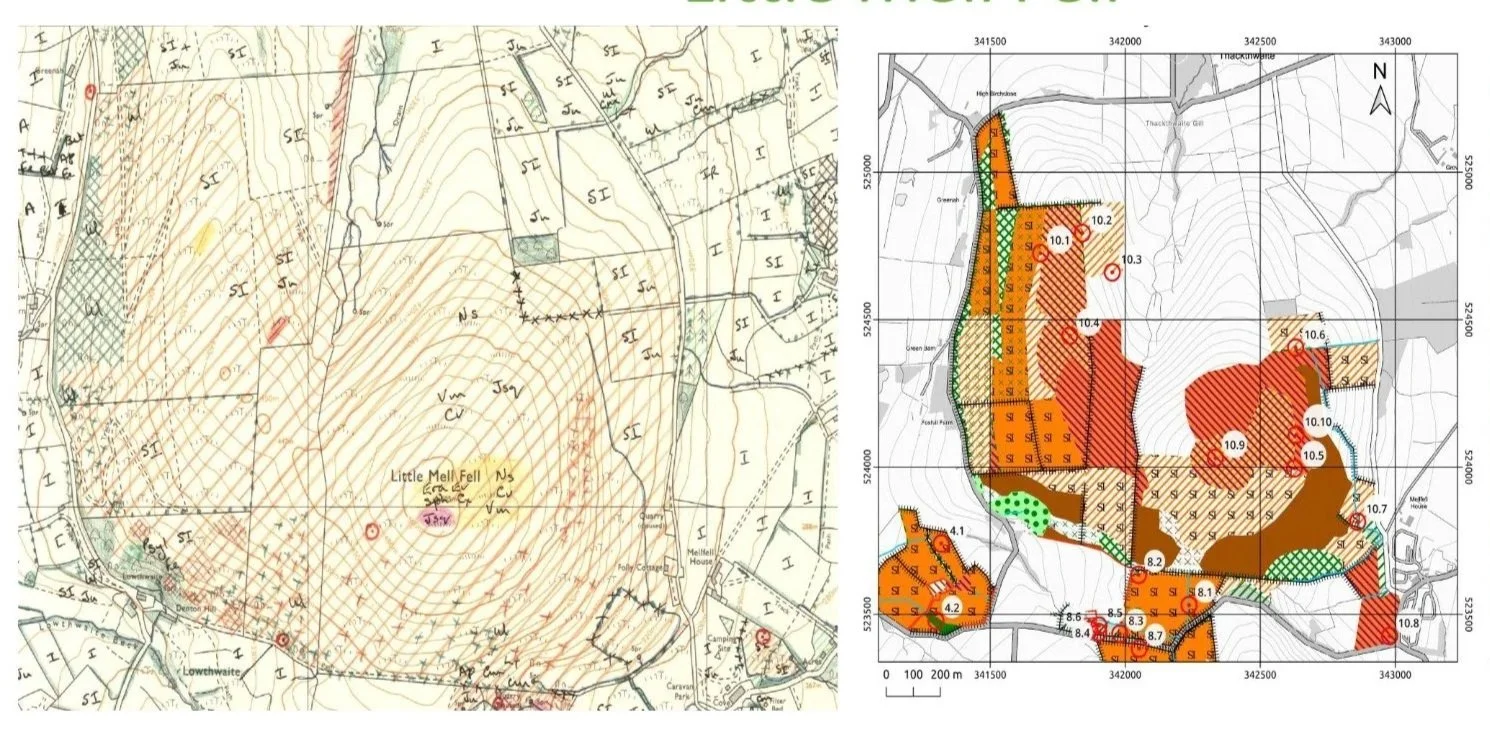 Matterdale Habitat Survey