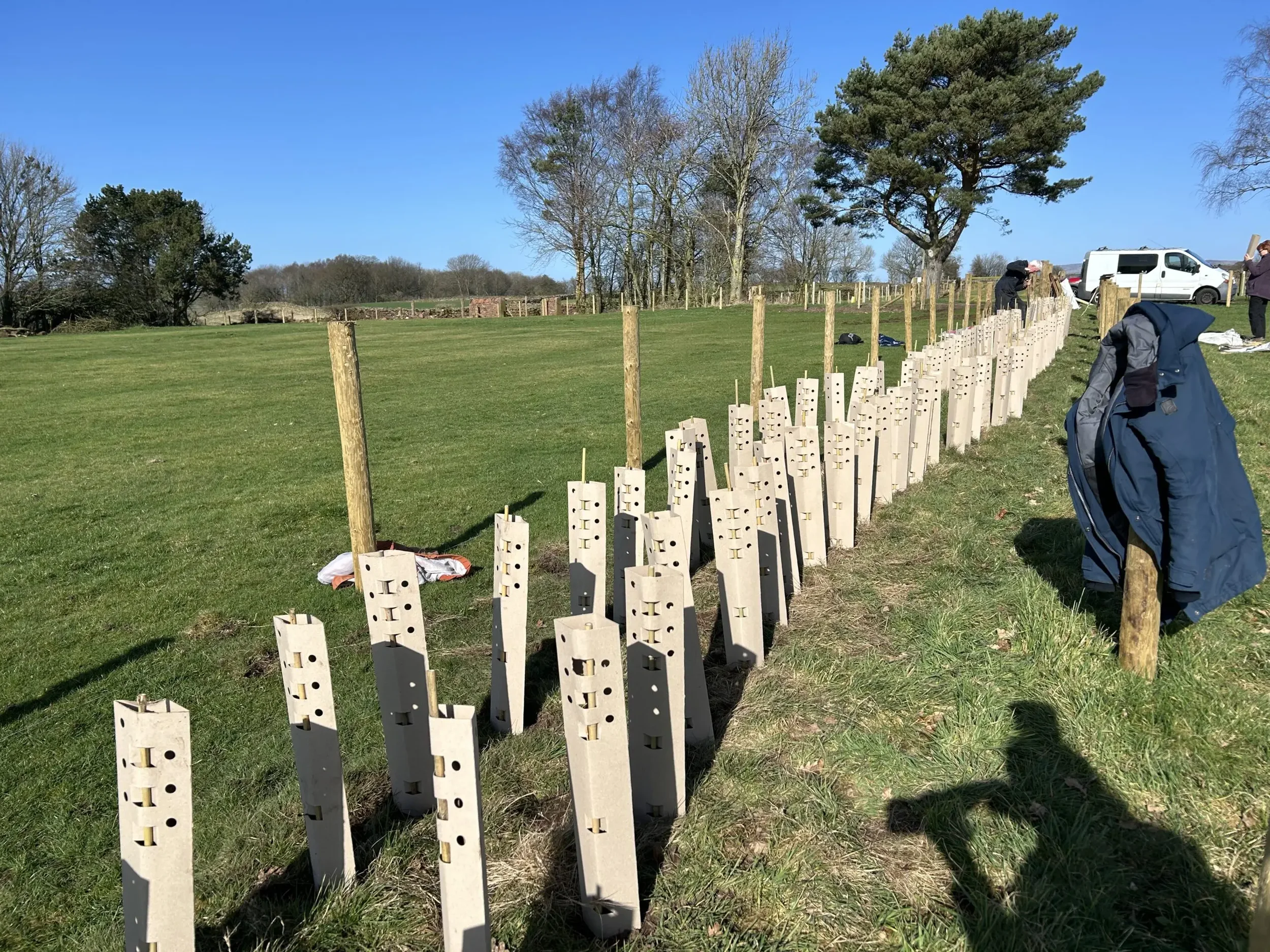 Hedgerow Heroes