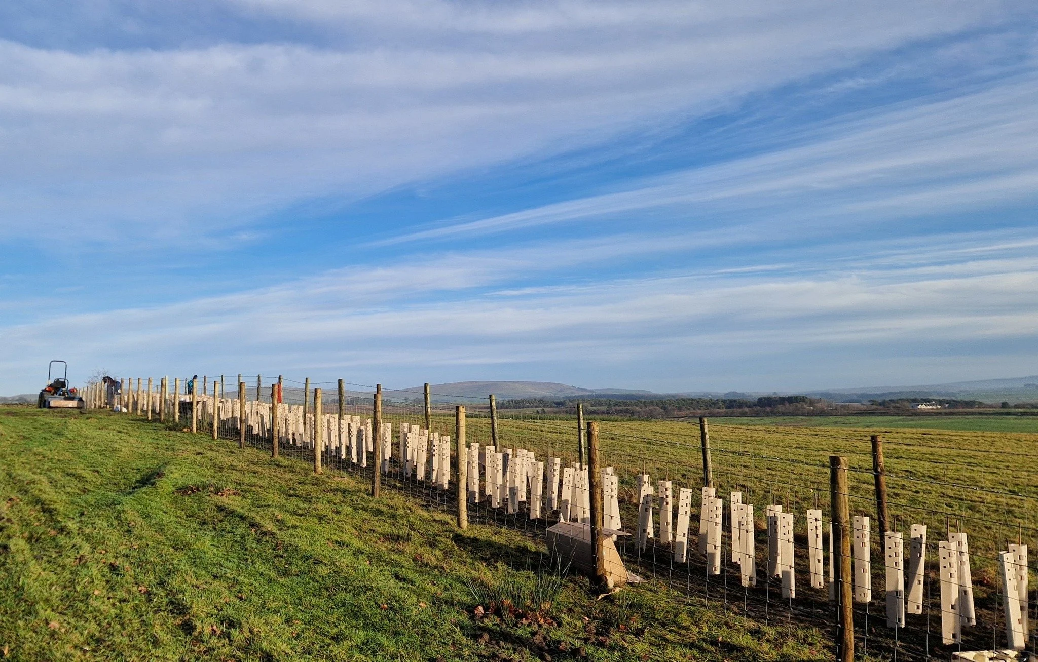 🌿 This Thursday: Hedgerow Heroes

Hedgerows may look modest, but they are vital corridors for wildlife&mdash;providing food and shelter, connecting habitats and helping shape the character of our landscape.

Join Naomi Walker, Nature Recovery Office