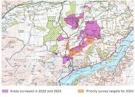 Map showing surveyed areas in purple and priority survey targets for 2024 in orange in the Matterdale valley
