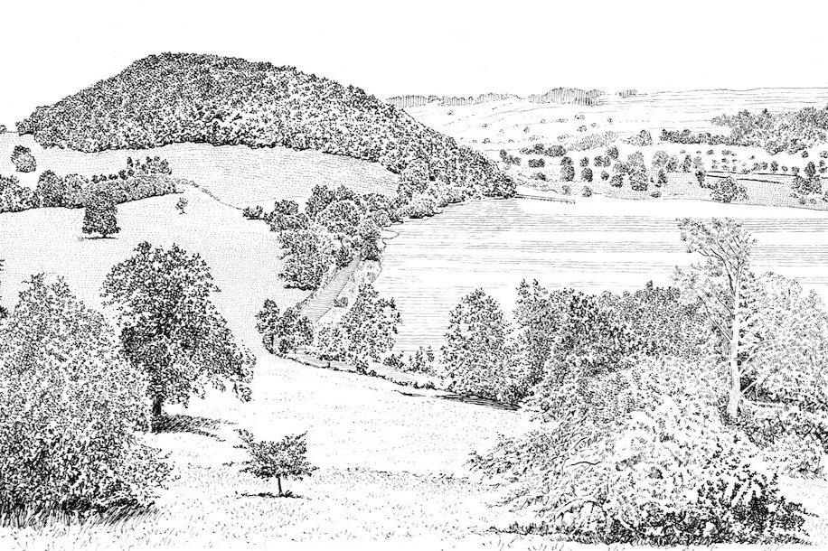 Pen and ink drawing by Mark Richards of parklands of Dunmallard Hill