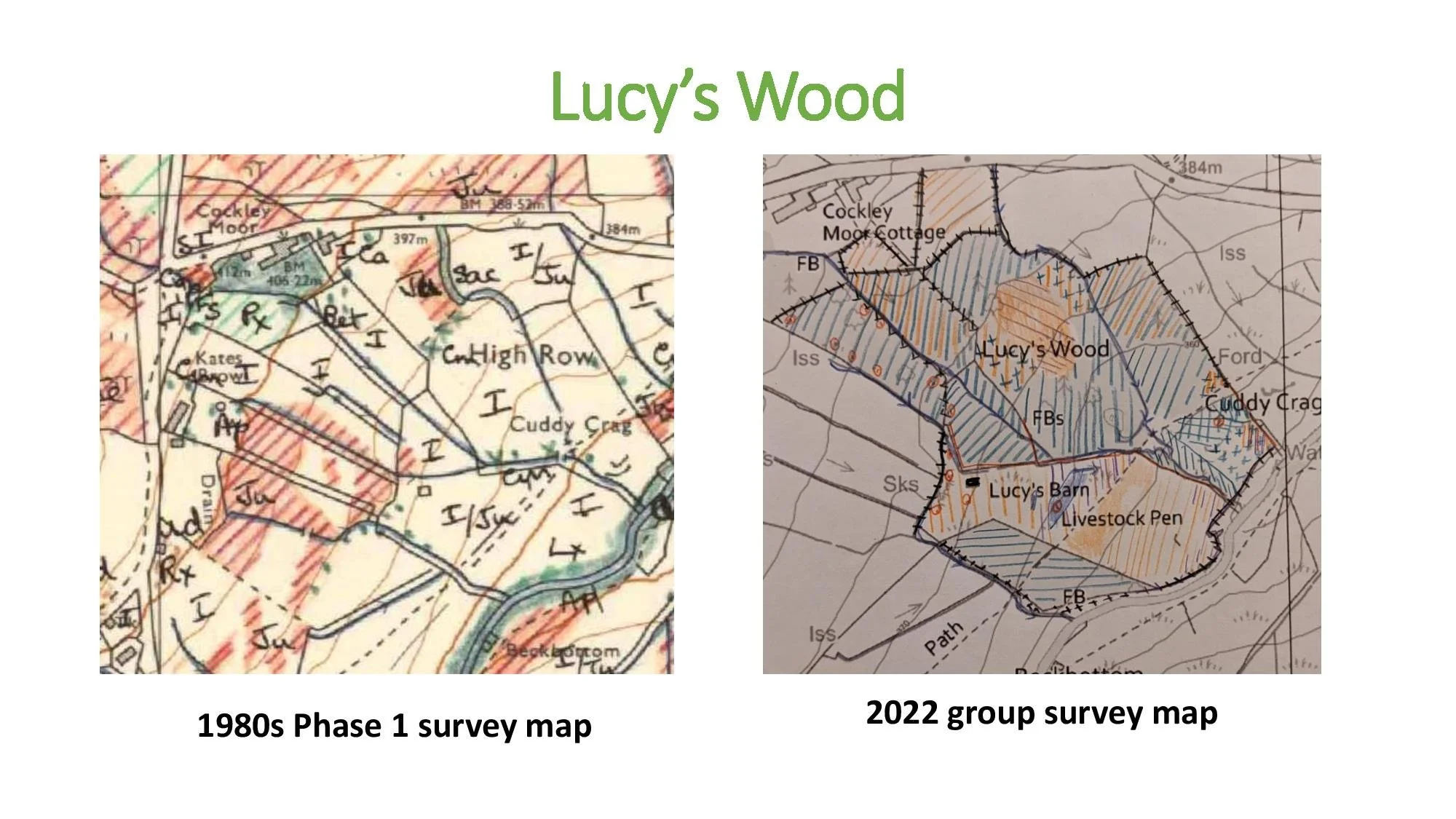 Comparison of historic 1980s habitat mapping and recent volunteer habitat survey mapping for Matterdale.