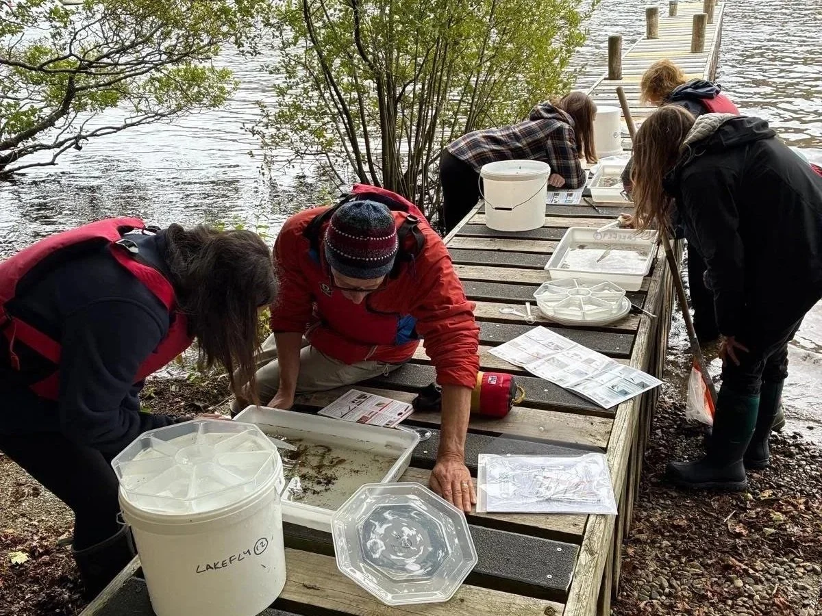 Volunteers identifying invertebrates in the sampling tray on the shores of Ullswater