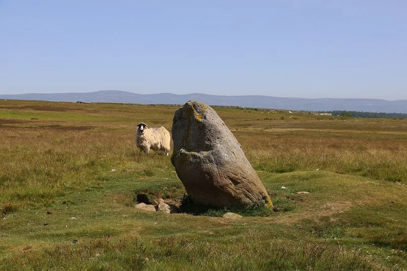 Photograph of Cop Stone on Askham Fell by Anne Clarke