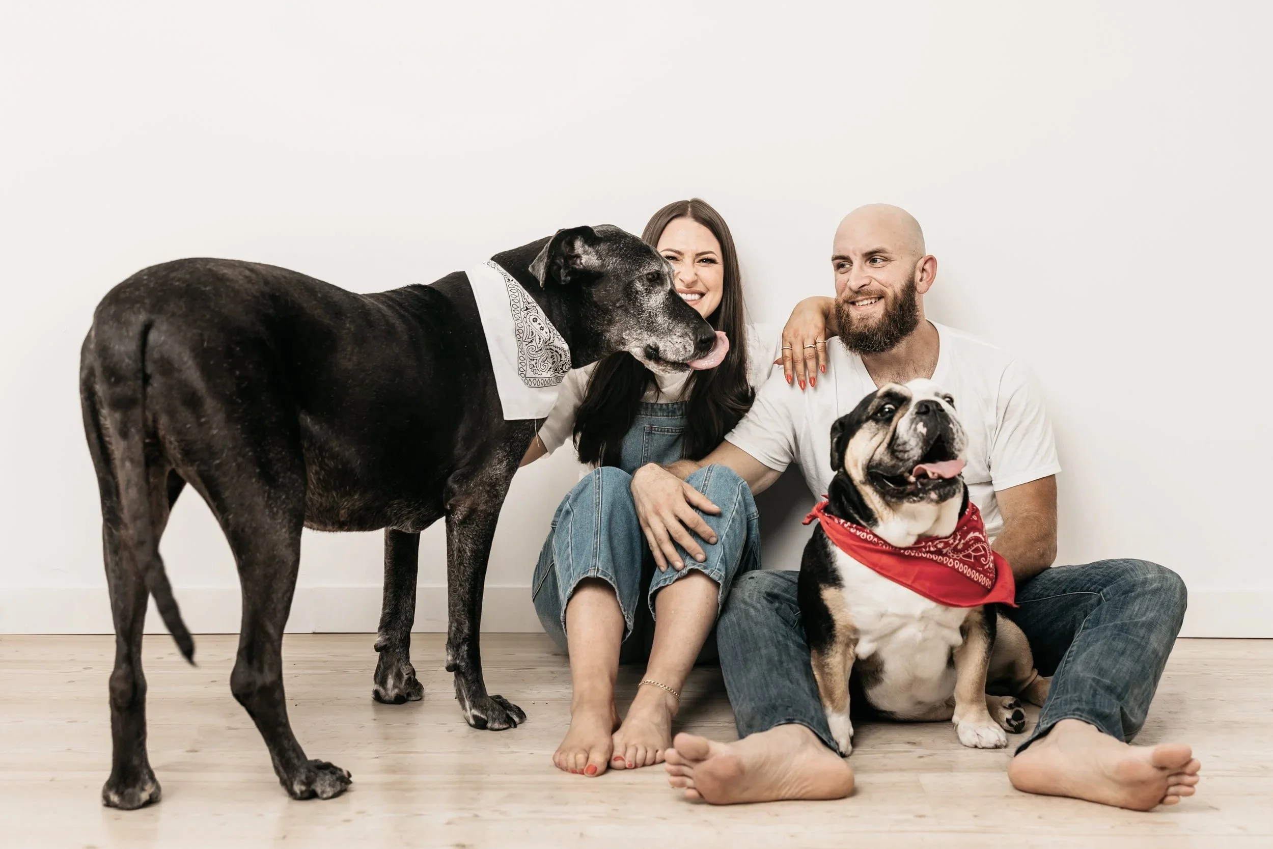 A woman and a man sitting on the floor with three dogs against a plain white wall. The woman has long dark hair, is smiling, and is wearing a white shirt and denim overalls. The man has a beard, is smiling, and is wearing a white t-shirt. The three dogs include a large black and gray Great Dane with a bandana, a smaller bulldog with a red bandana, and a third dog partially visible at the bottom.