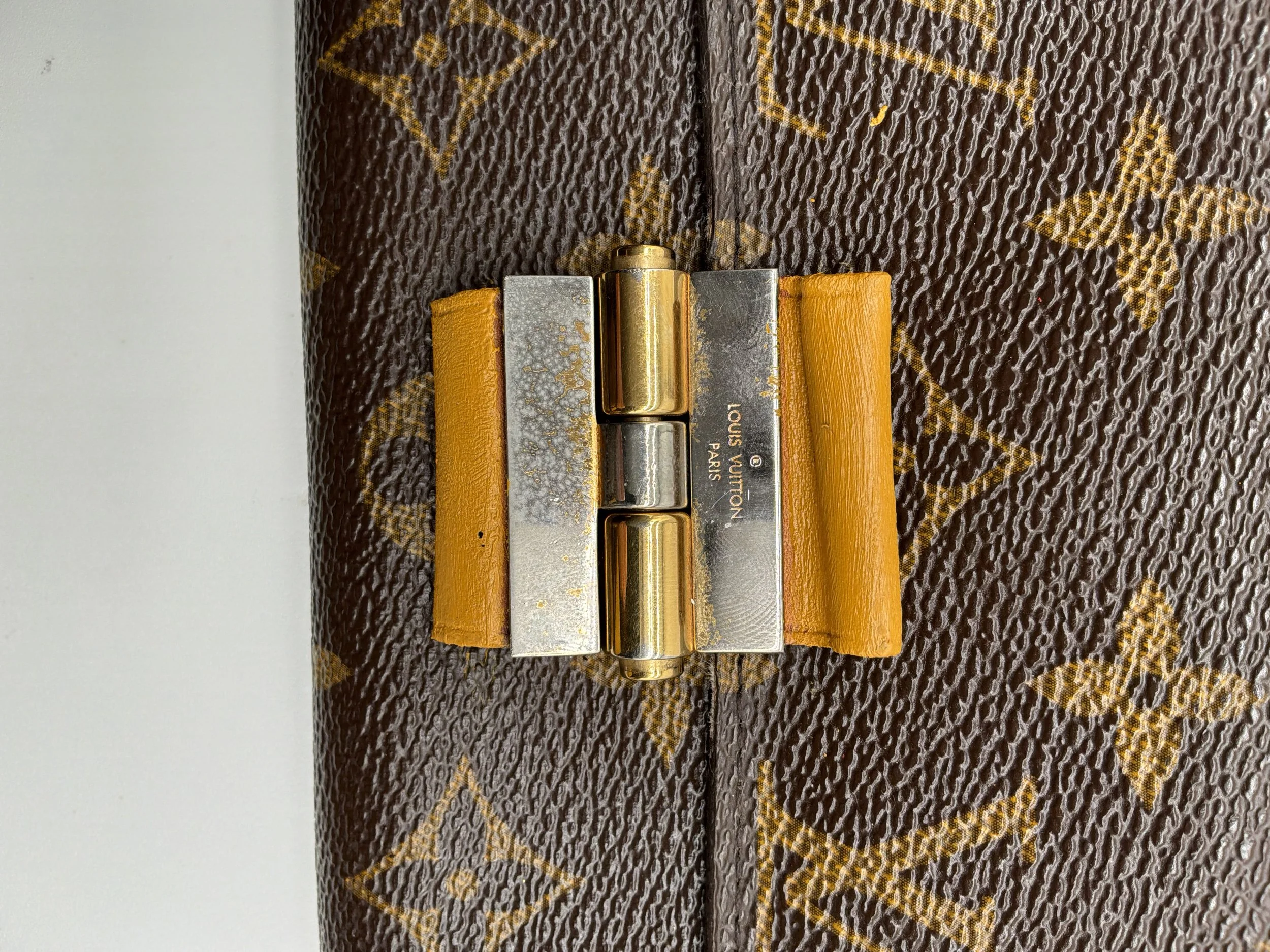 IMG_4556.jpeg