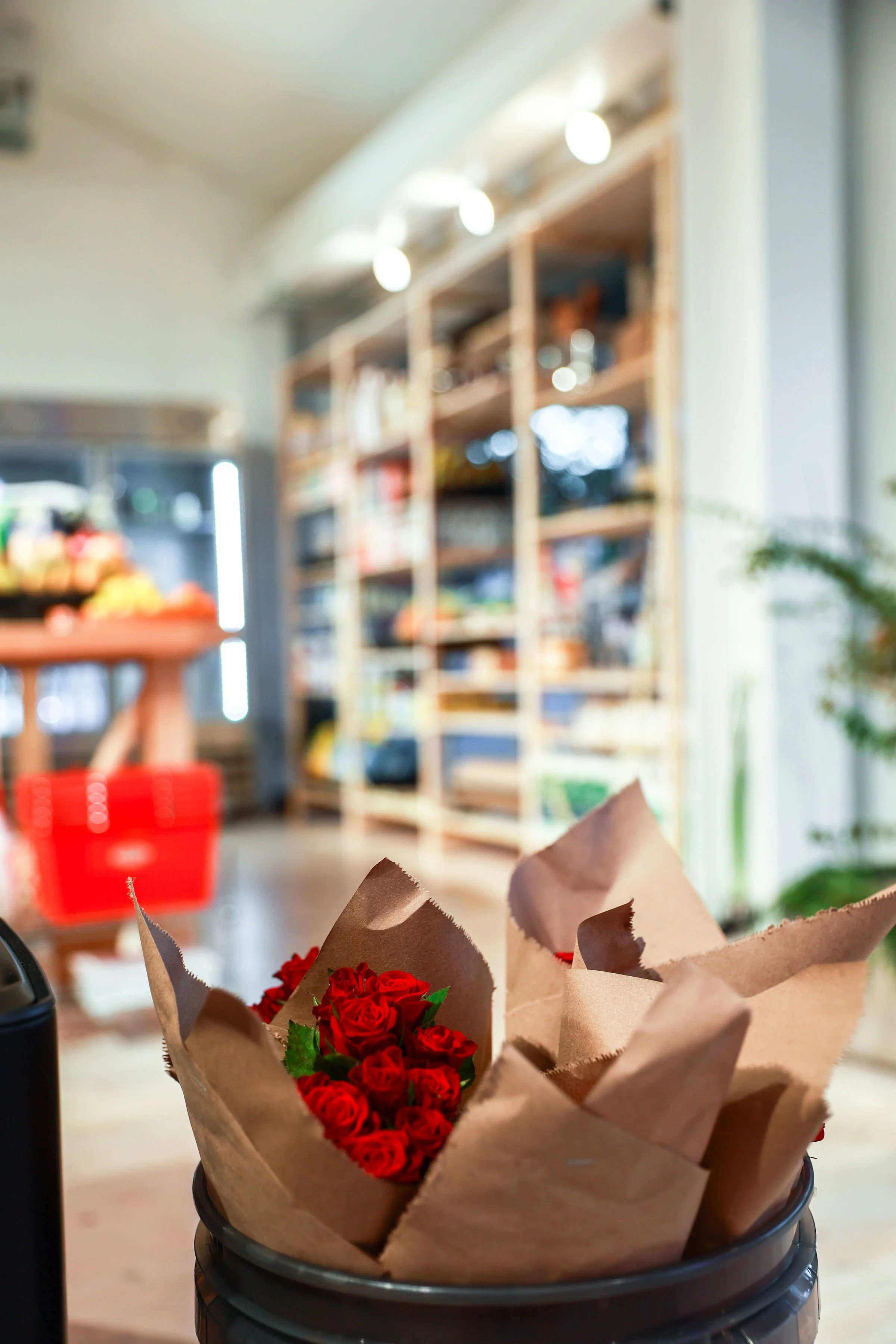 Flowers photo by https://www.instagram.com/earth_walker_photography/