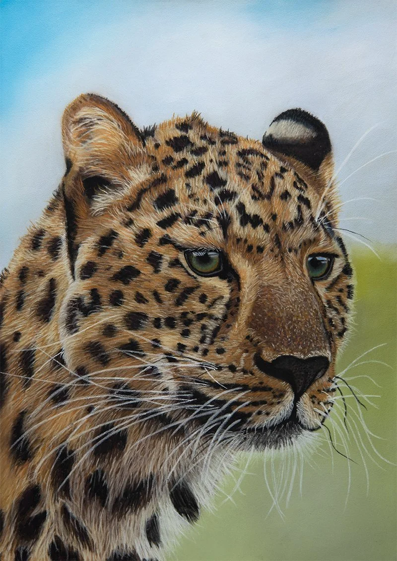 My leopard tutorial release!