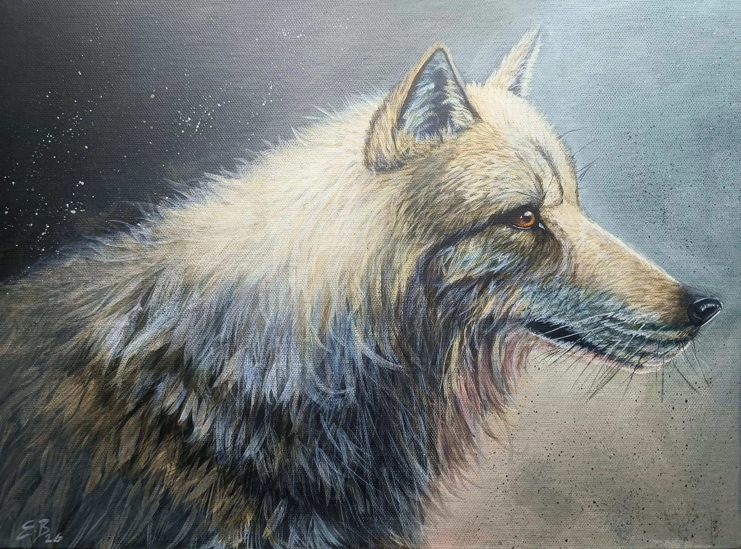 Wolf at night with a beautiful glow