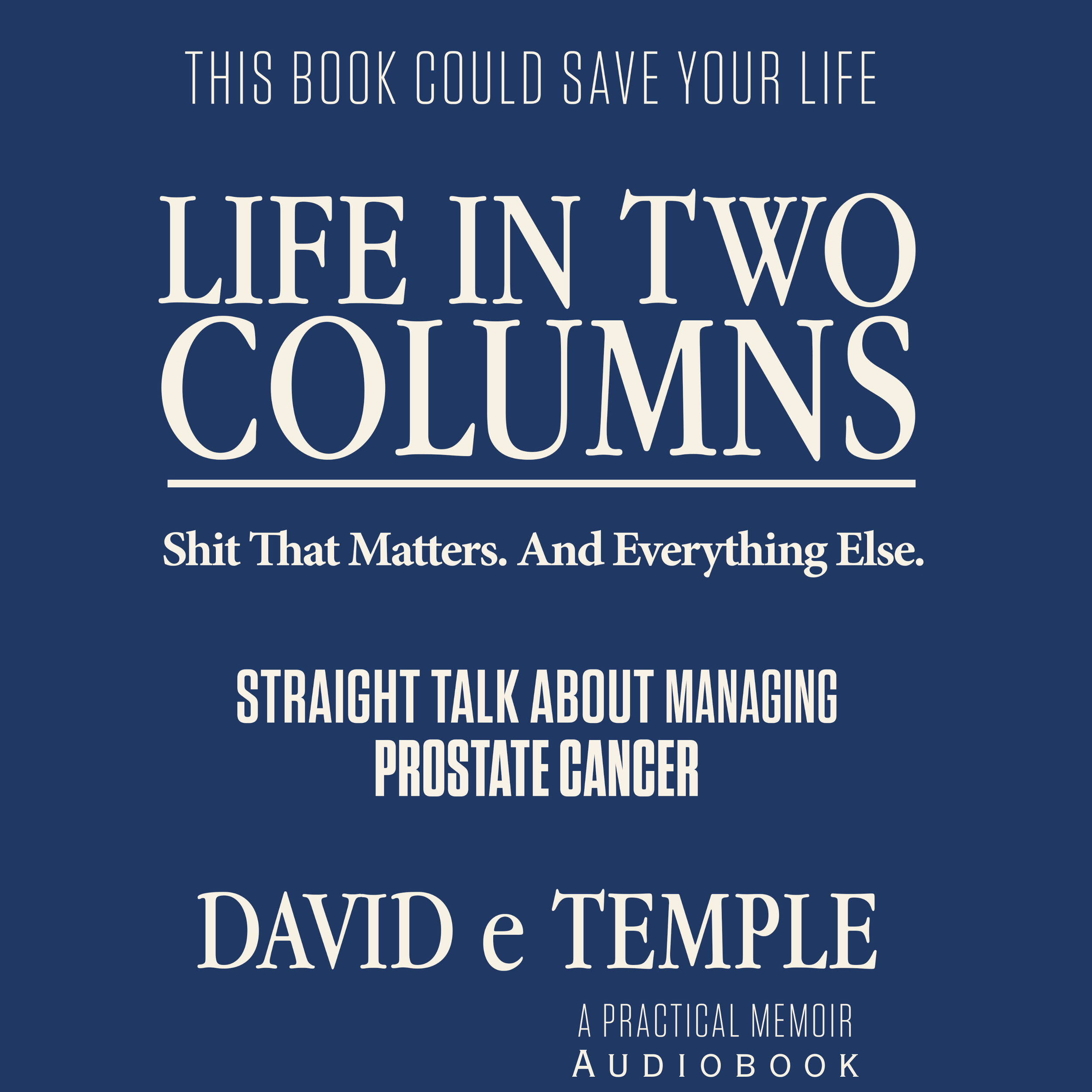 Cover of a book titled "Life in Two Columns" with the subtitle "Shit That Matters. And Everything Else." The author's name is David e Temple, and it is a practical memoir audiobook. The background color is dark blue with white text.