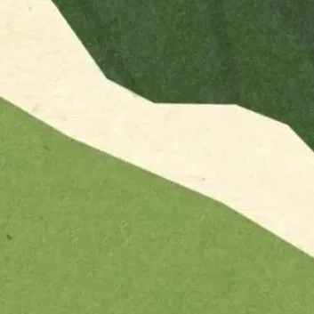 Abstract pattern with green and white shapes.