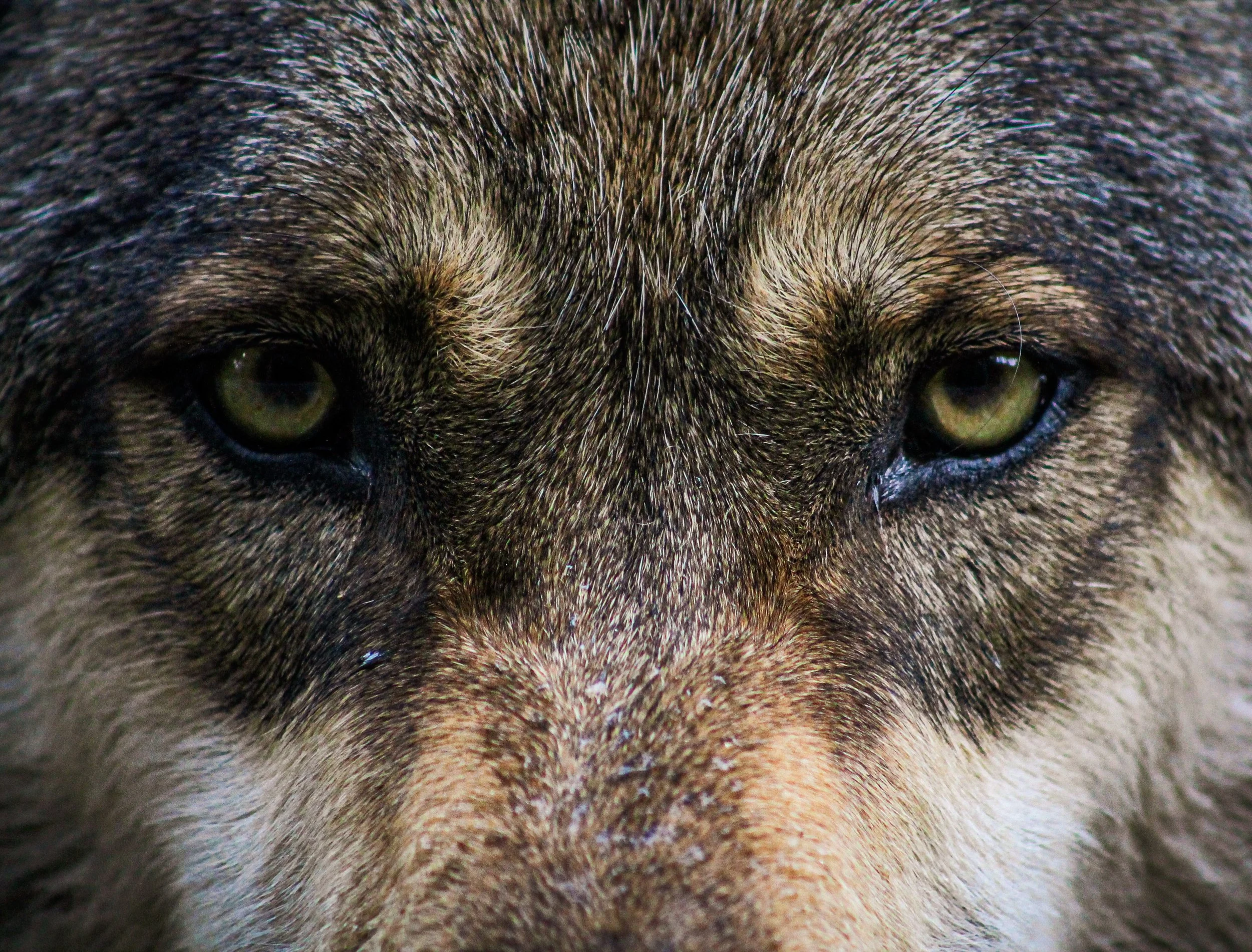 8-B_Phelan July 20th-63.jpg