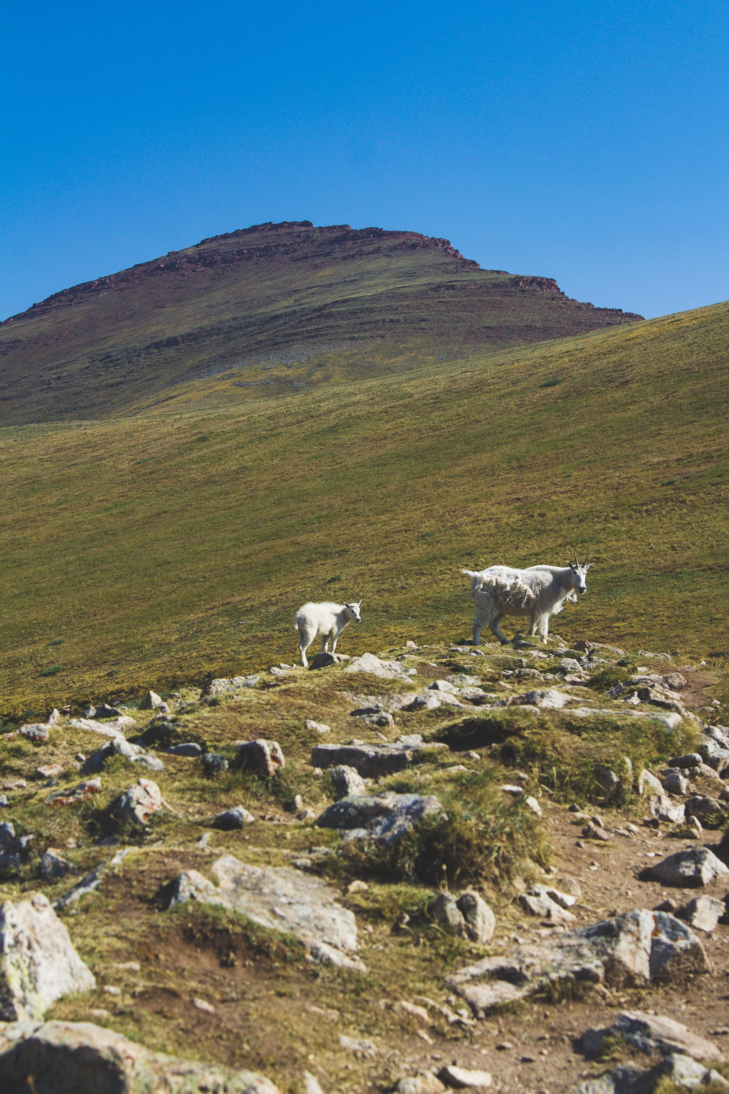 46-IMG_1786 copy.jpg