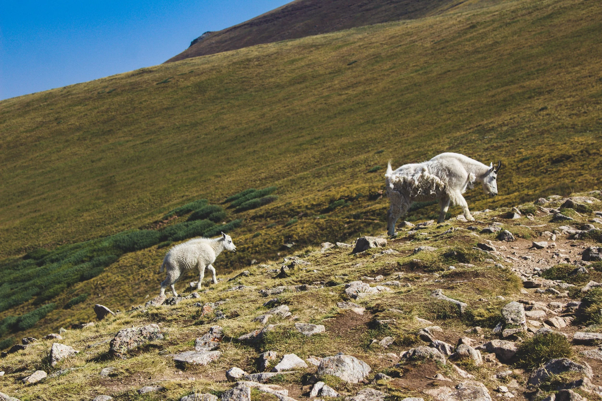 45-IMG_1783 copy.jpg