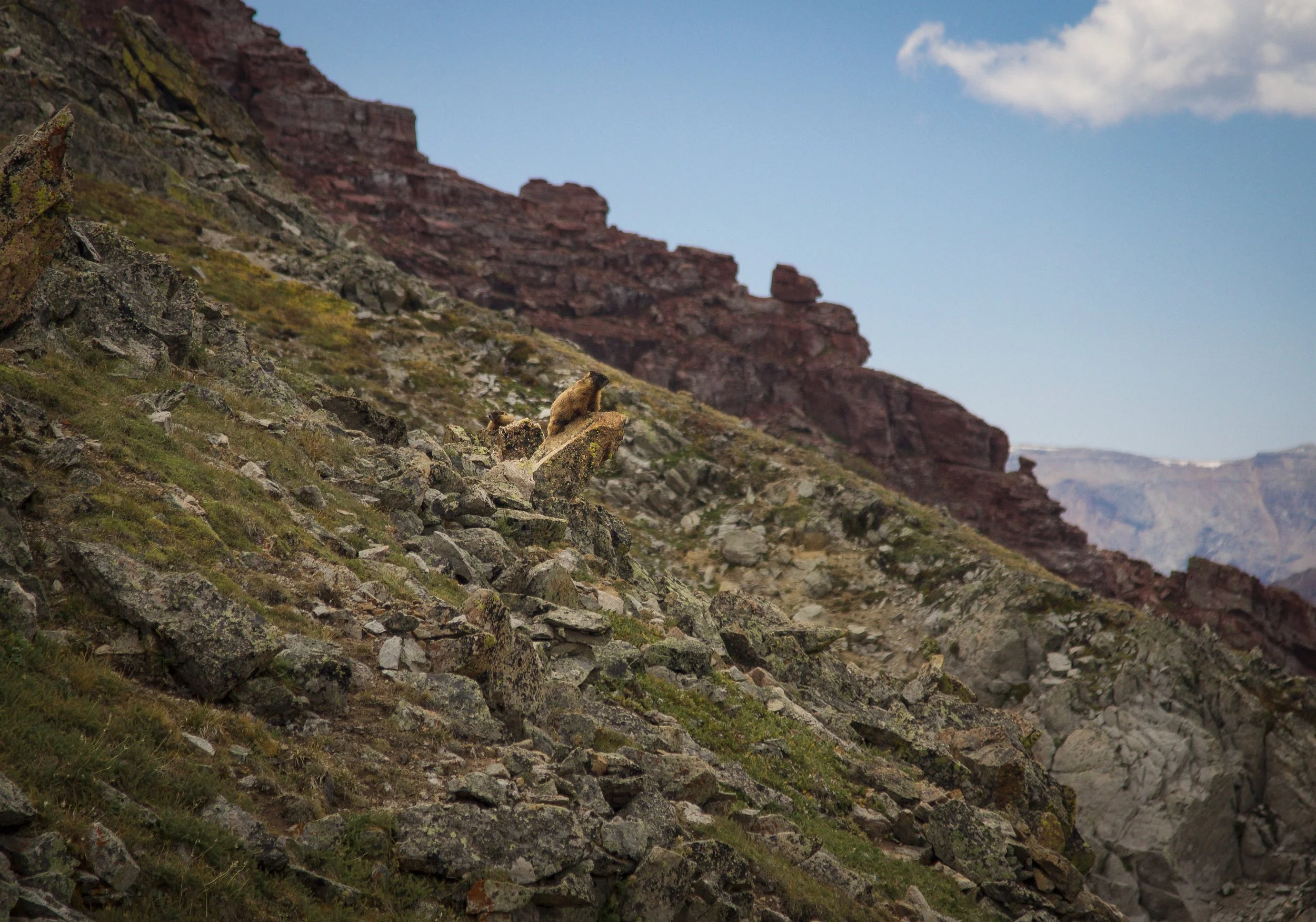 42-IMG_1657 copy.jpg