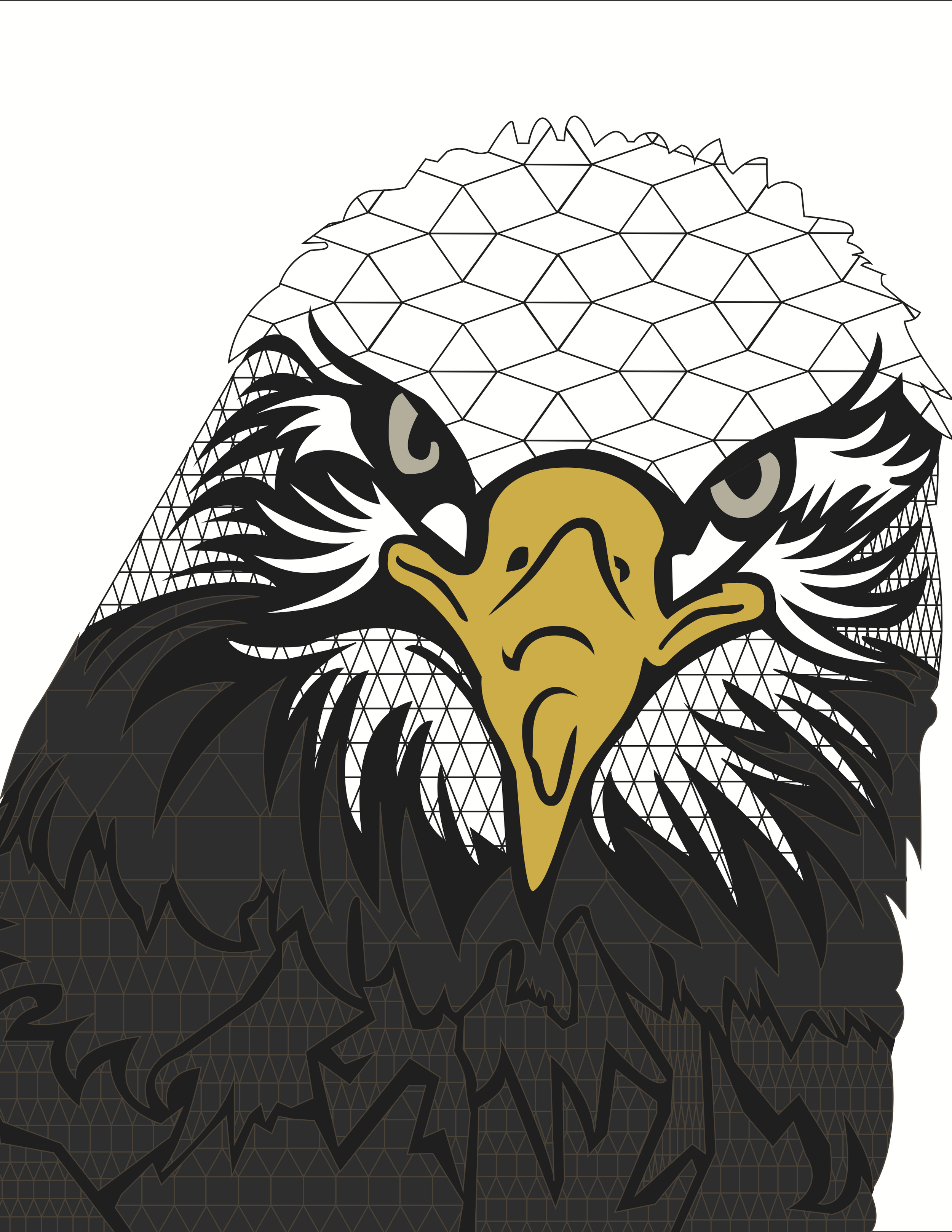 Version 3: Eagle
