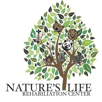 Branding Project for School at LCC