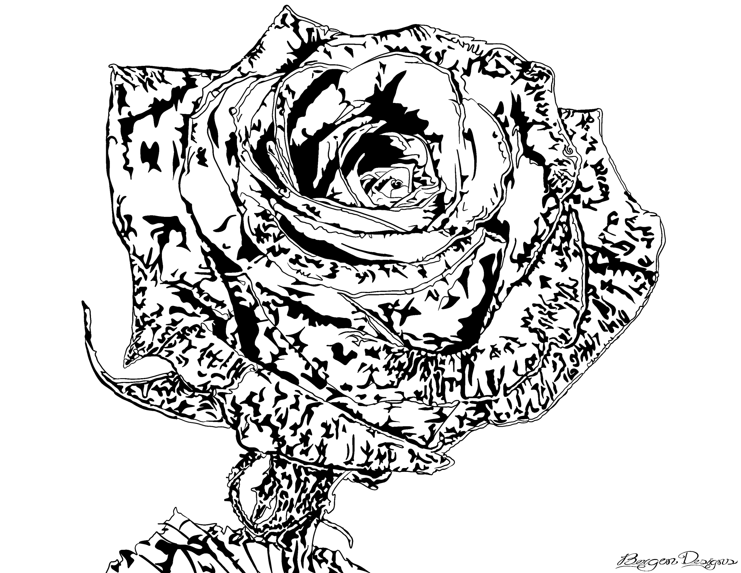 Black & White Rose