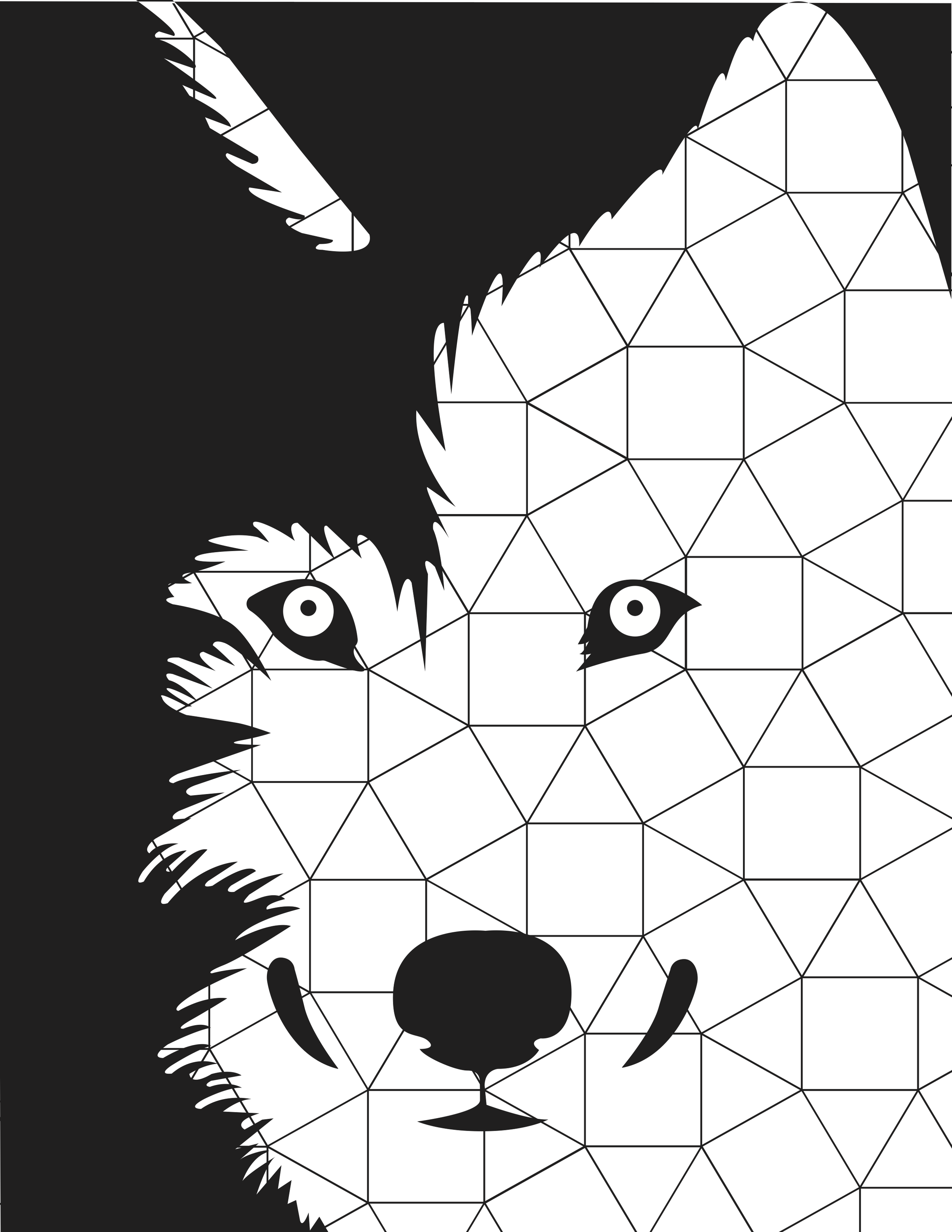 Wolf Tessellation