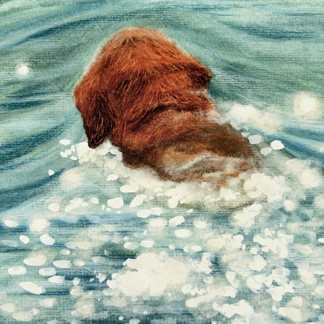 glimmer-swimmer-detail.png