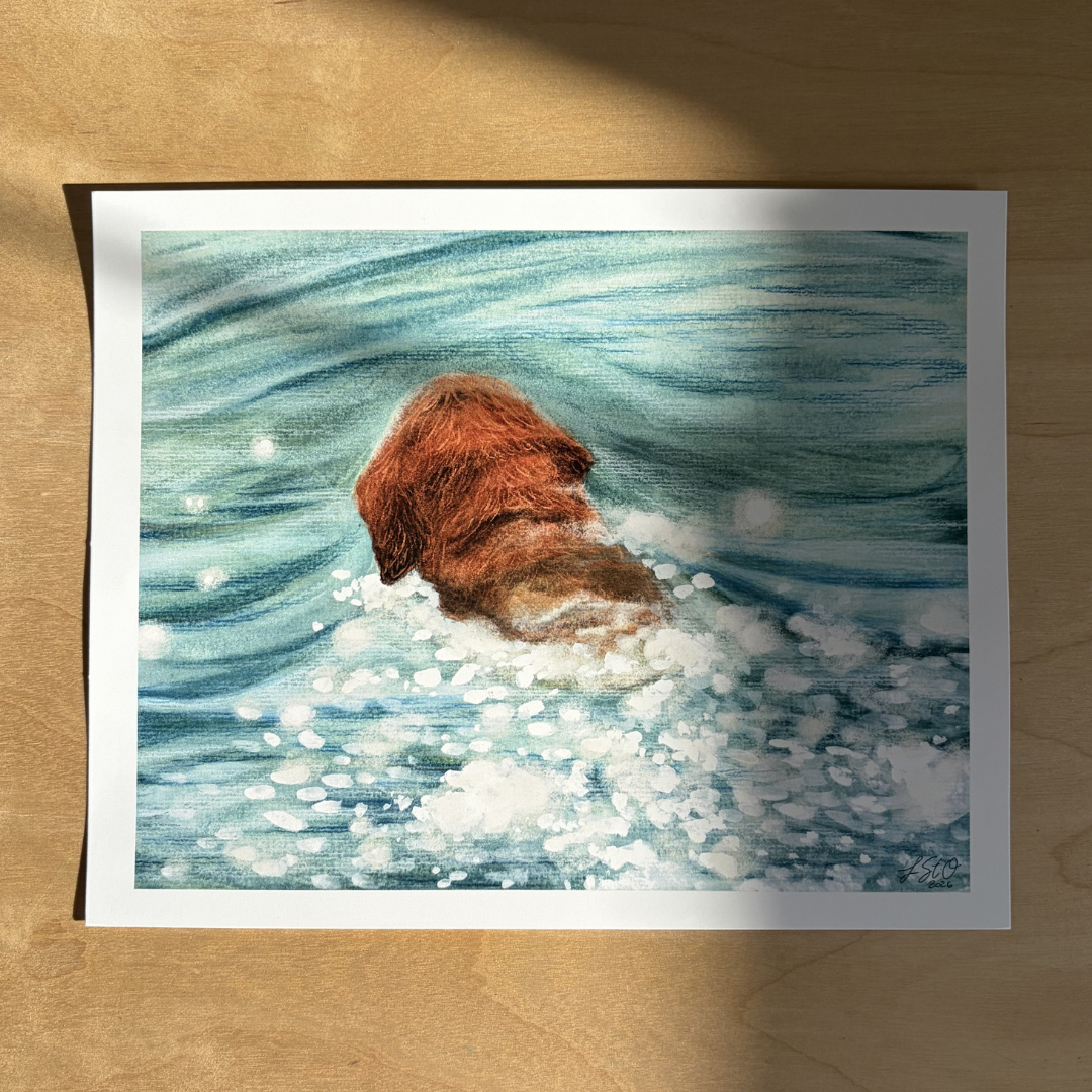 glimmer-swimer-1.png