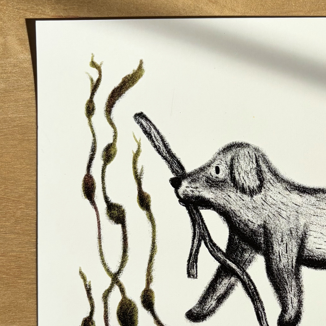 beach-dog-detail.png