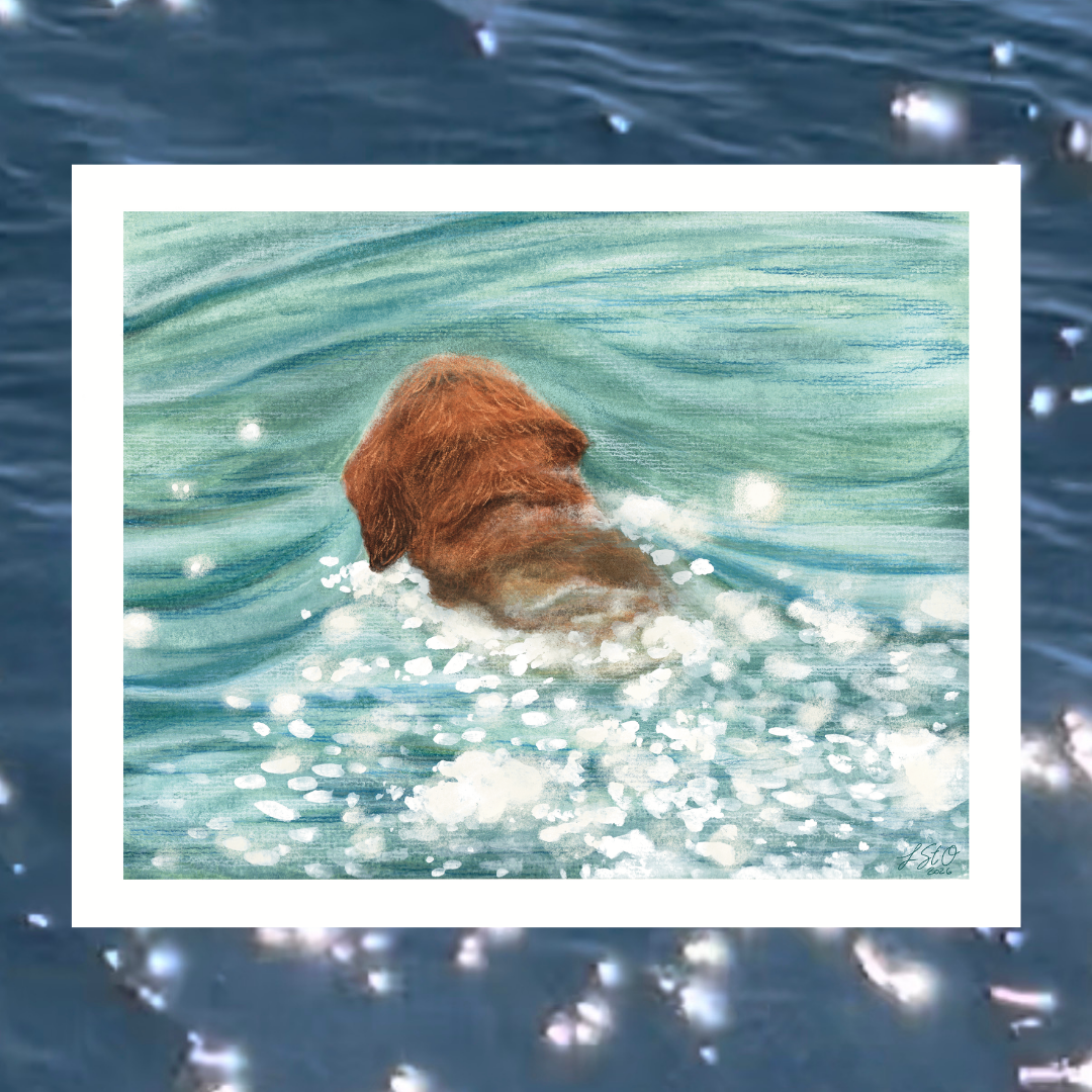 glimmer-swimmer-digital.png