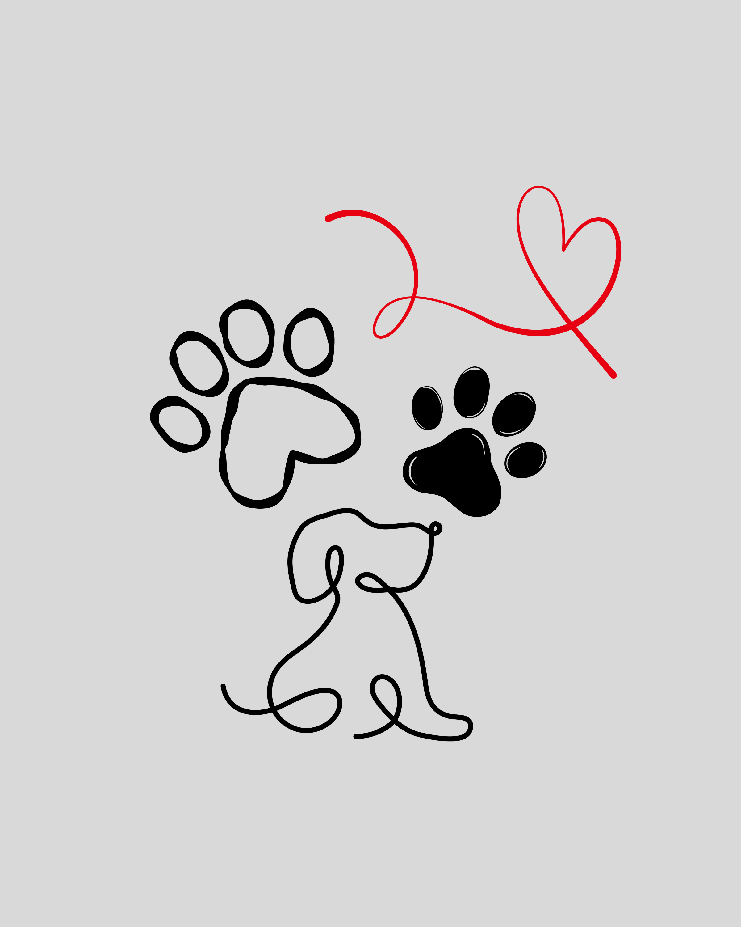 Having your dog at your wedding: what engaged Couples need to know