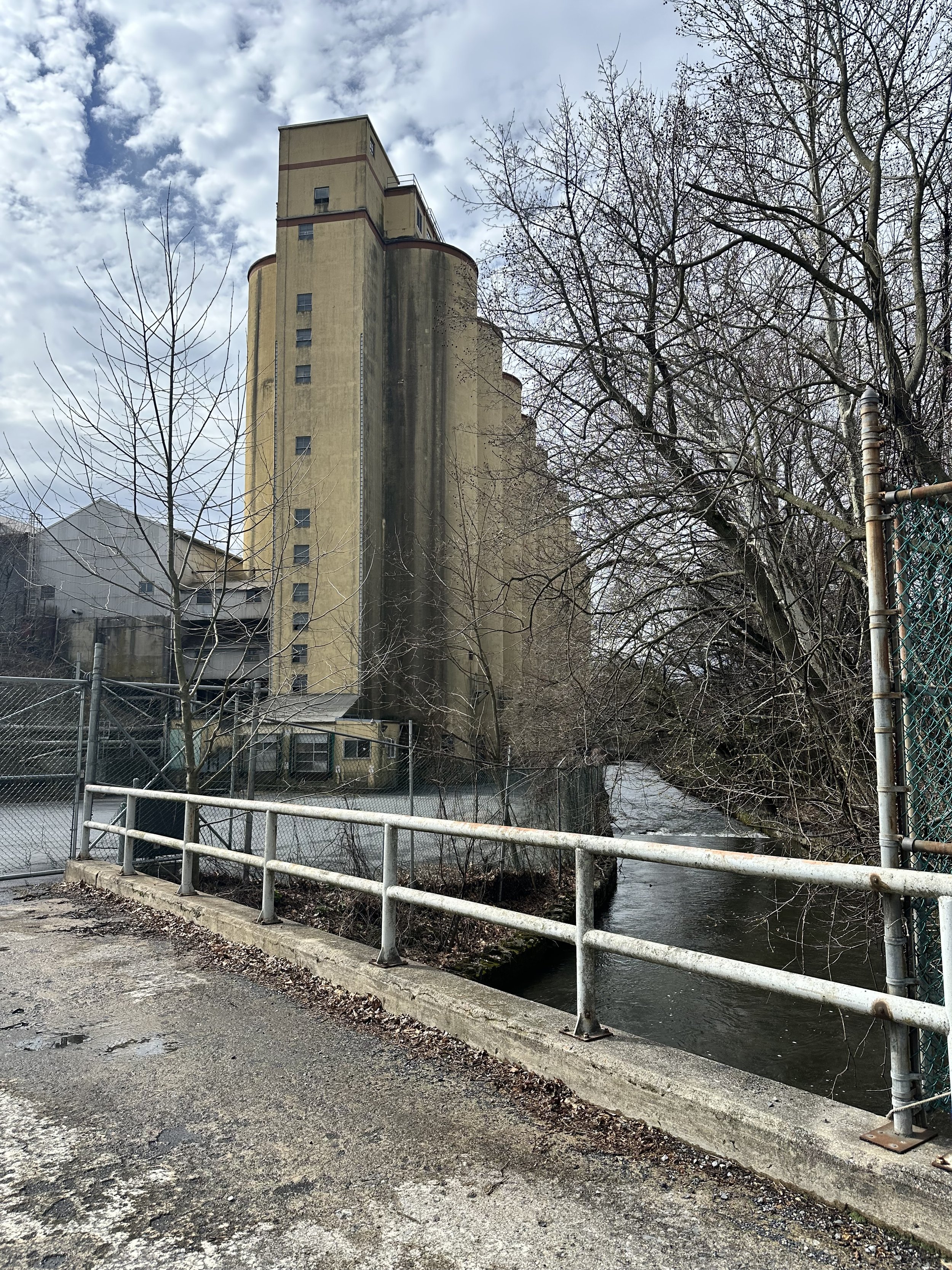 IMG_8508.jpeg