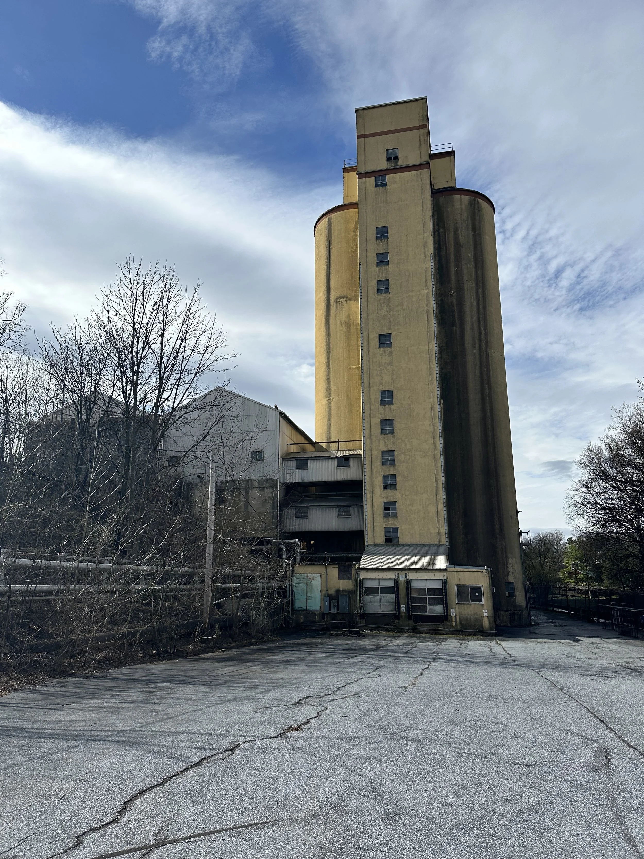 IMG_8503.jpeg