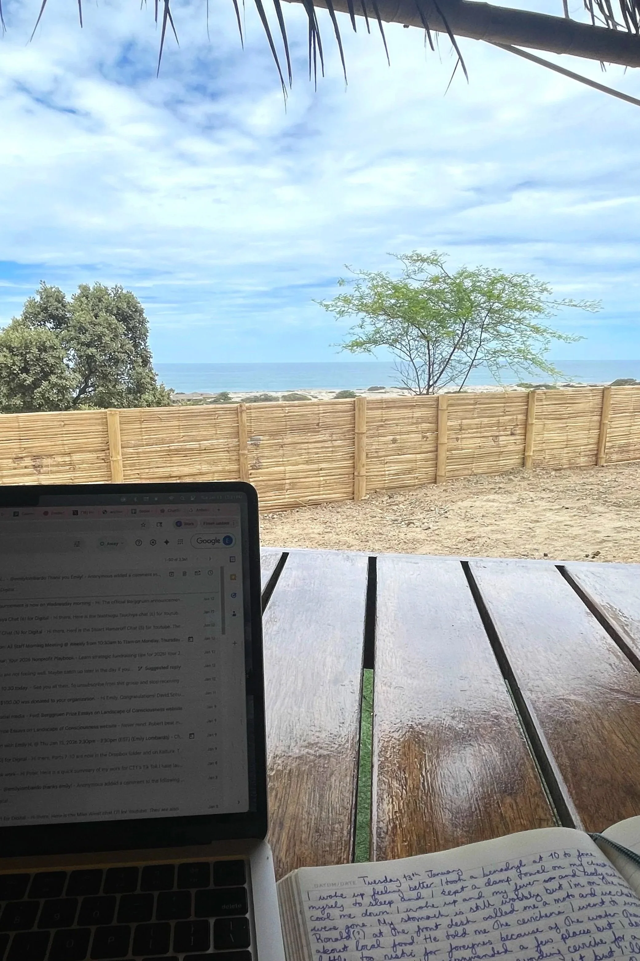 Yes, You Can Work Remotely in Organos