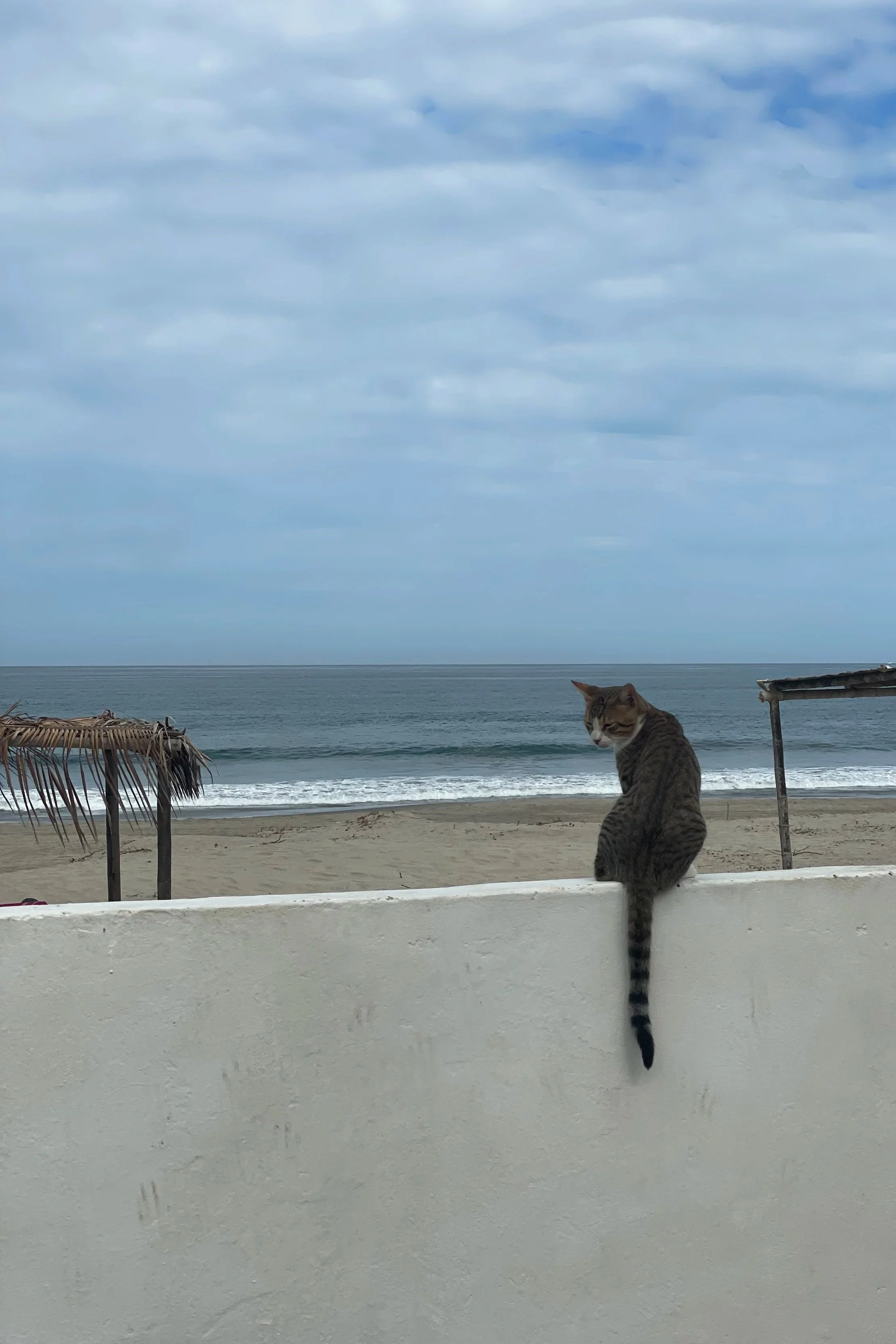 A Guide to Organos, Peru’s Hidden Beachtown
