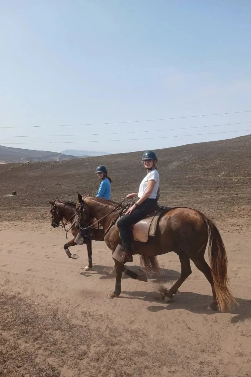 Ride the Peruvian Paso Horse: The Most Underrated Day Trip from Lima
