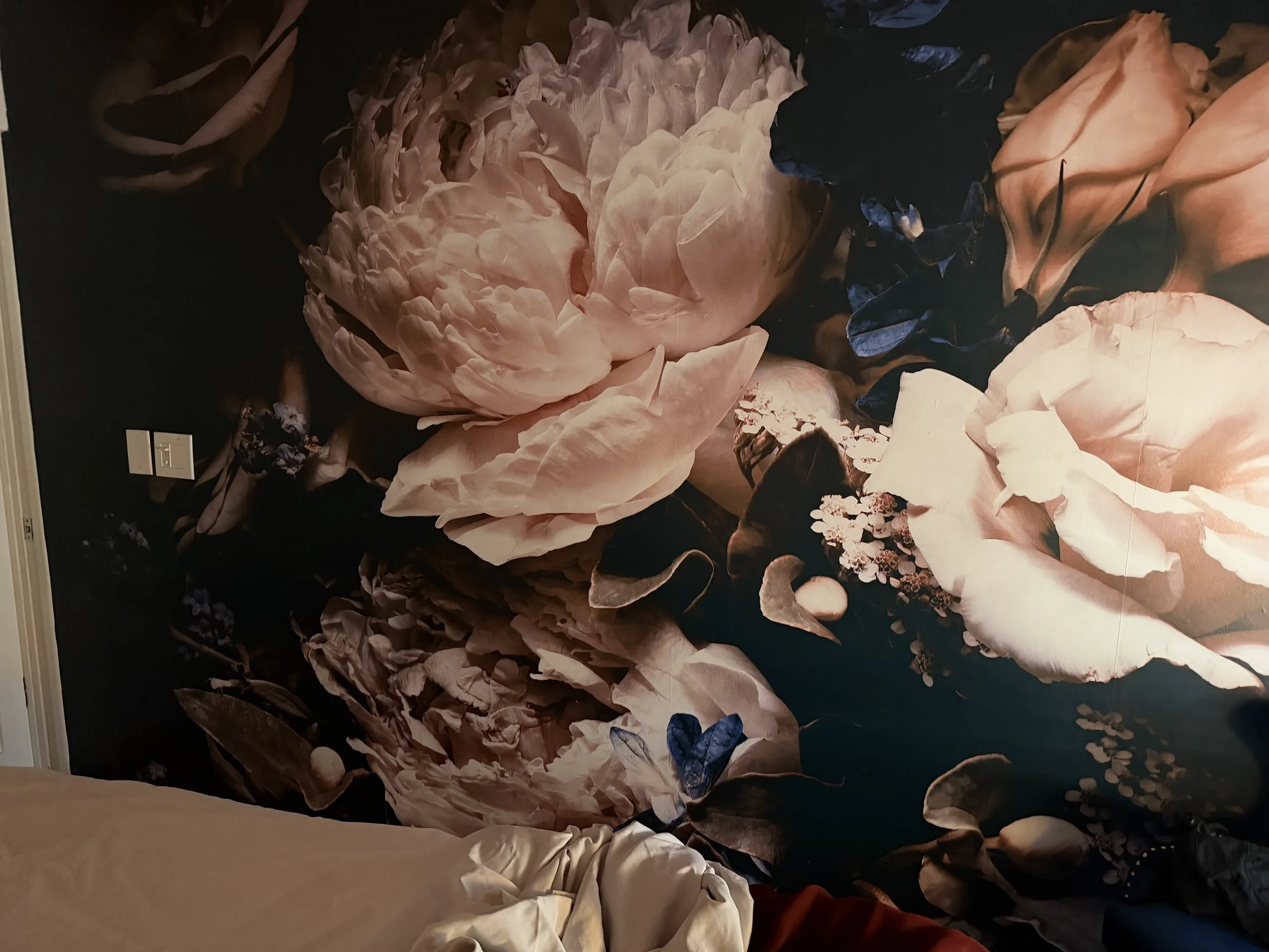 Amazing massages and facials flying under the radar
