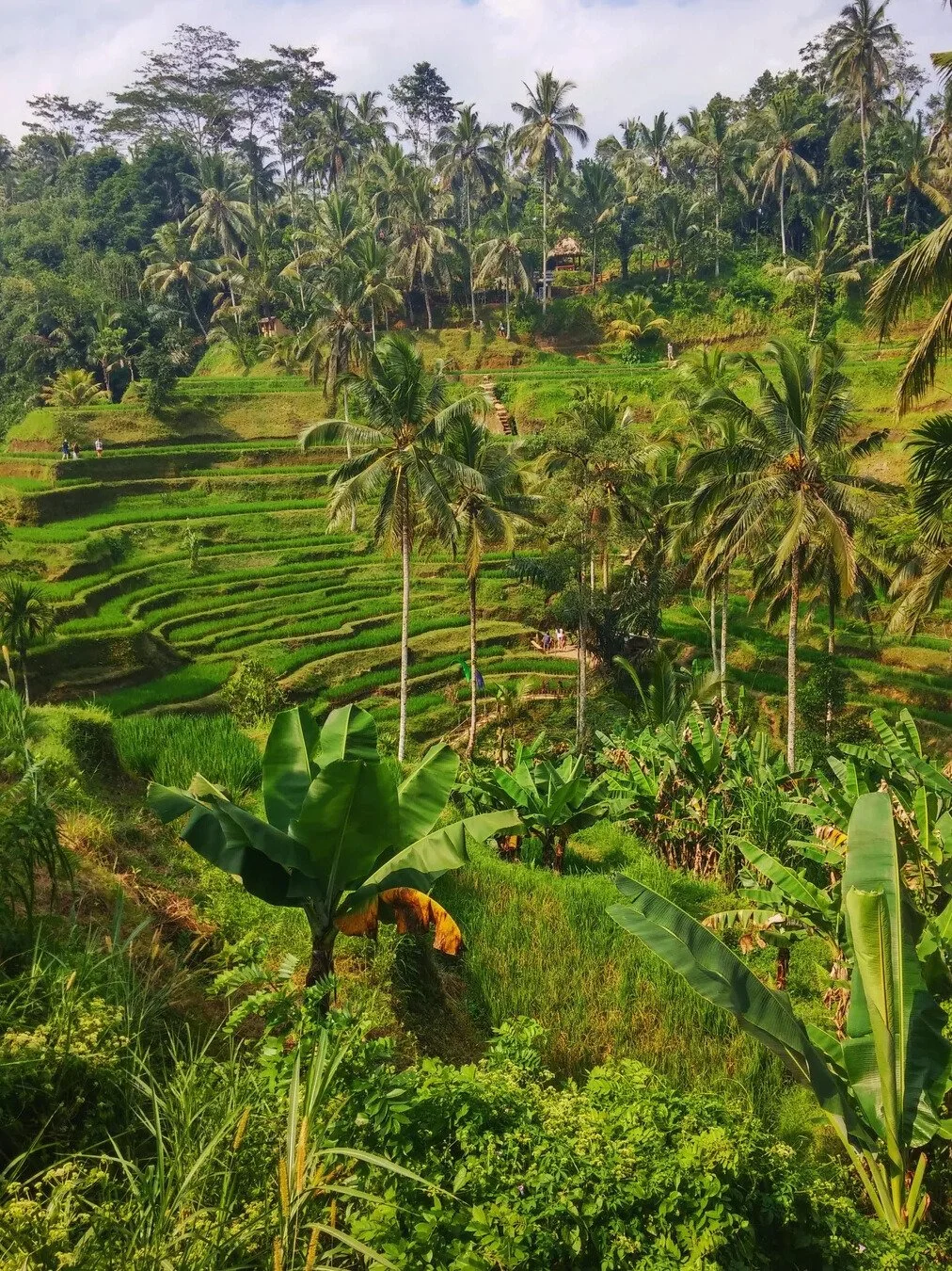 Bali Retirement Guide E-book (Coming Soon)